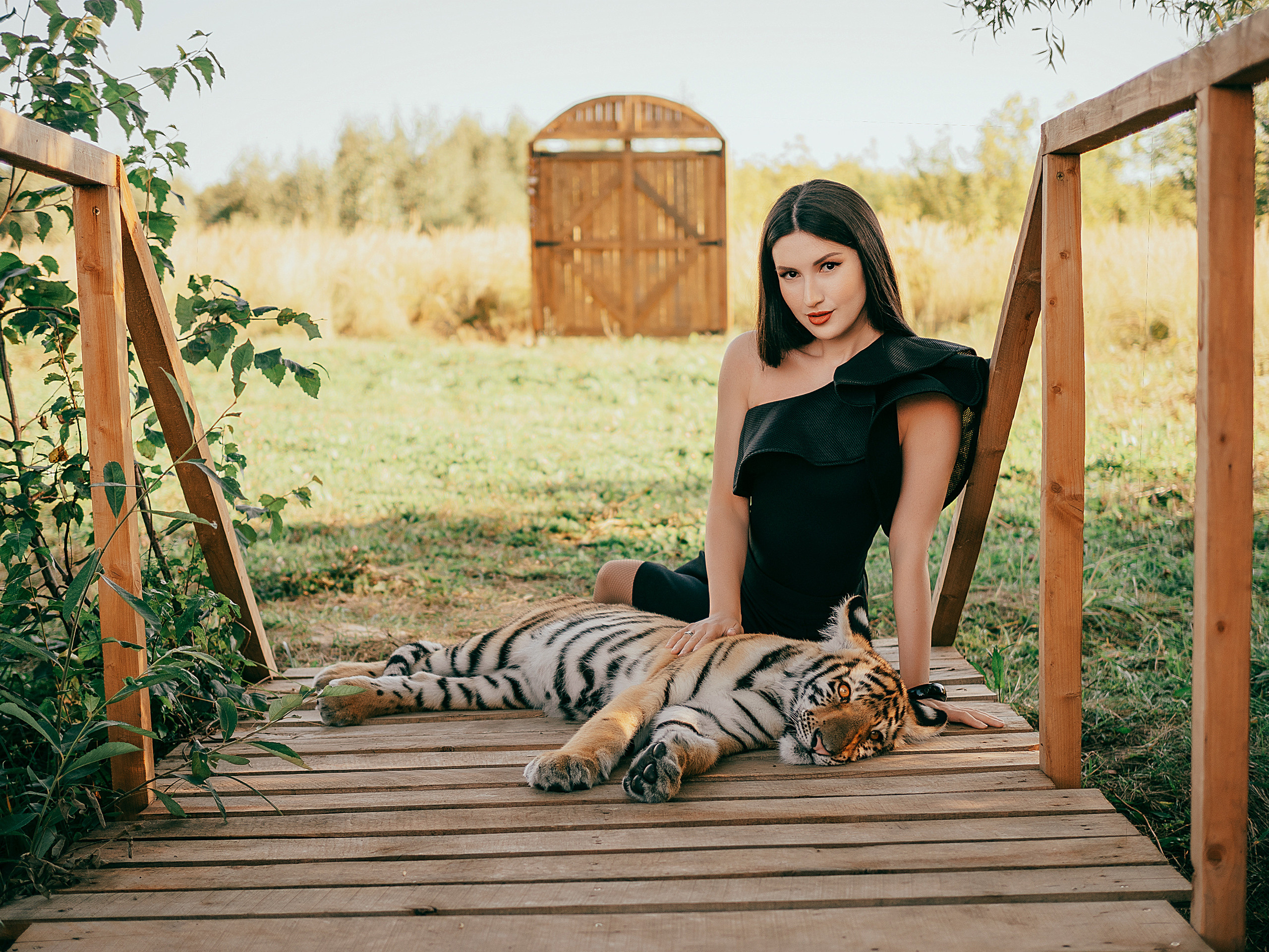 Фотодни с тигрятами. Свадебный и портретный фотограф в Анталии Алина Фаизова