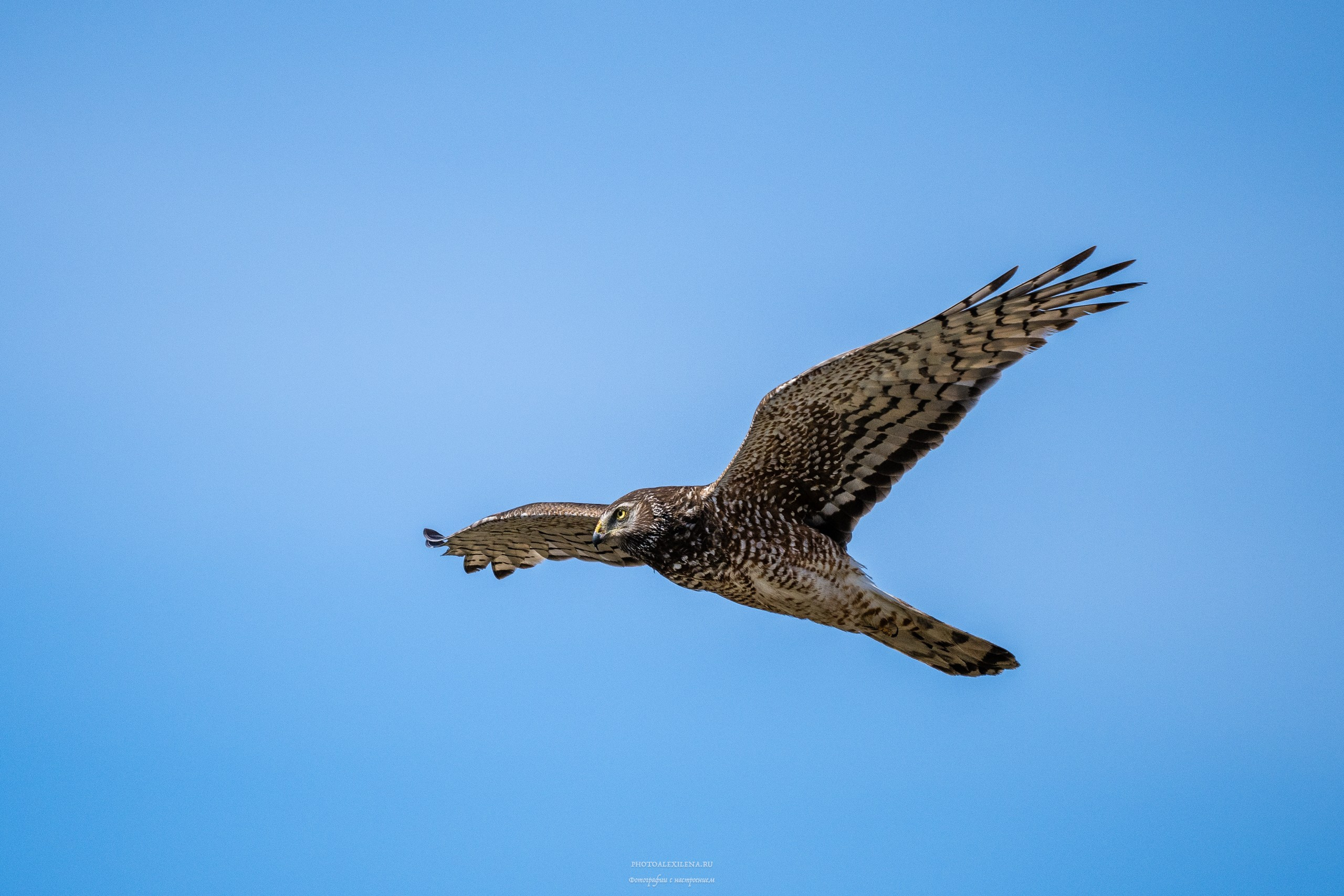 Ледник Перито-Морено, Лагуна Нимез и озеро Архентино. Авторские стильные фотокартины