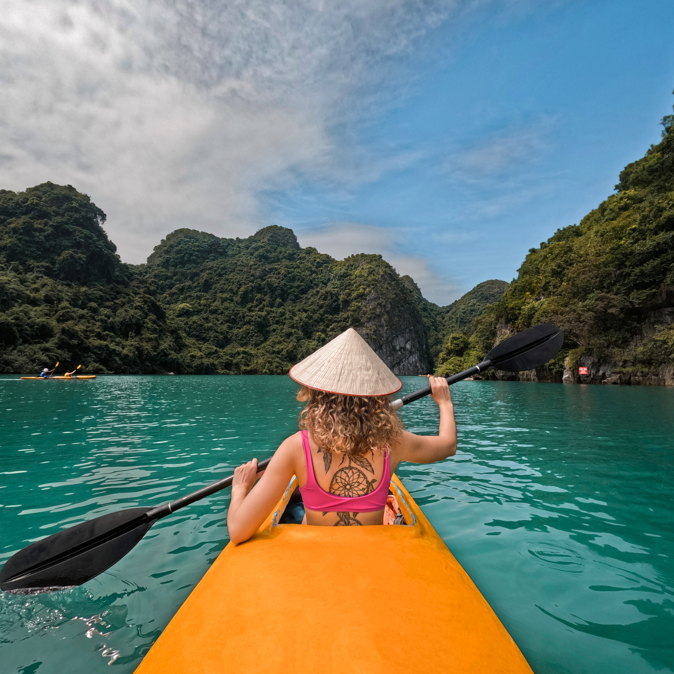 СV & ARTIST STATEMENT