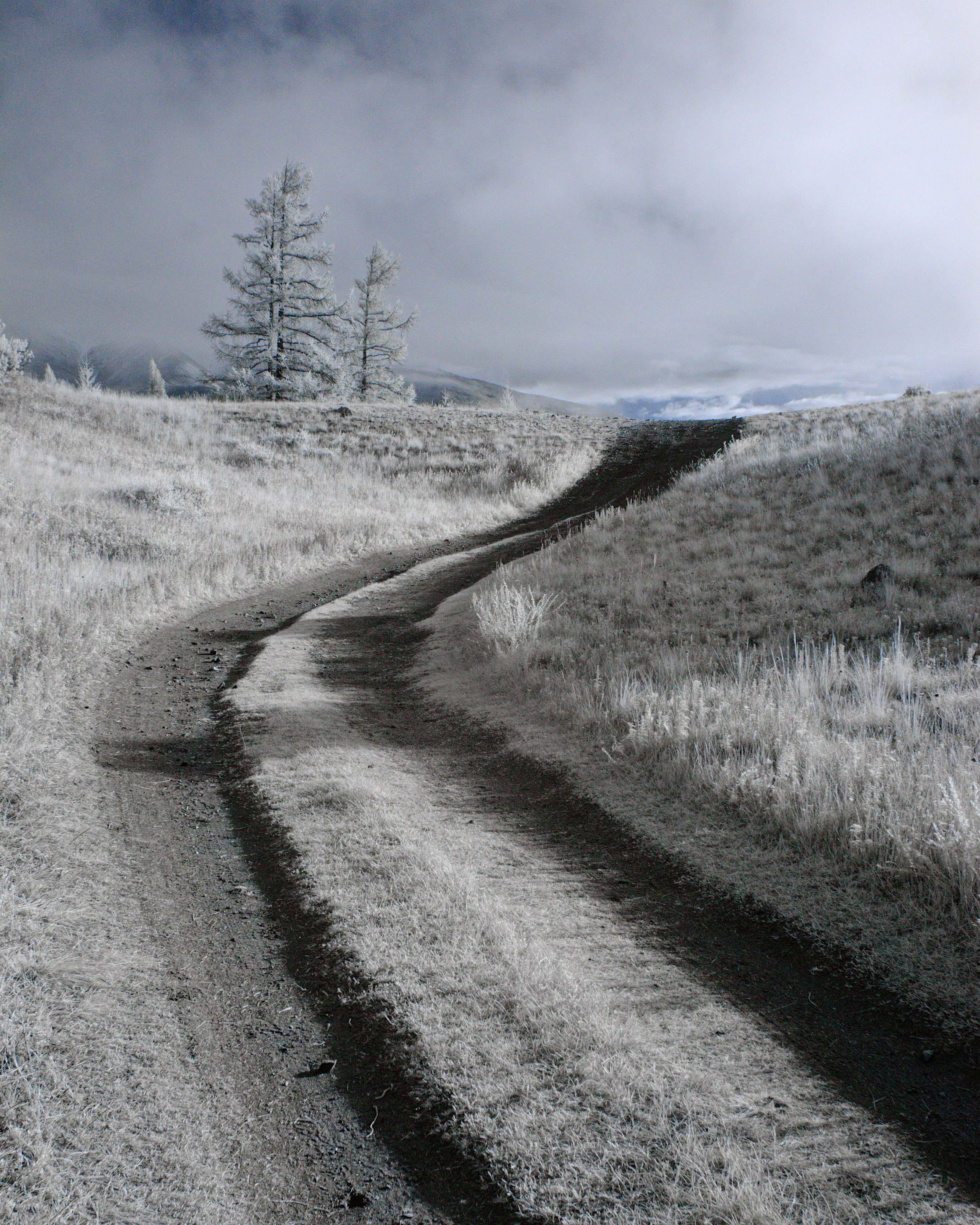 Это не фотошоп. Я видел это в горах Алтая. Семоха Валерий. Фотограф