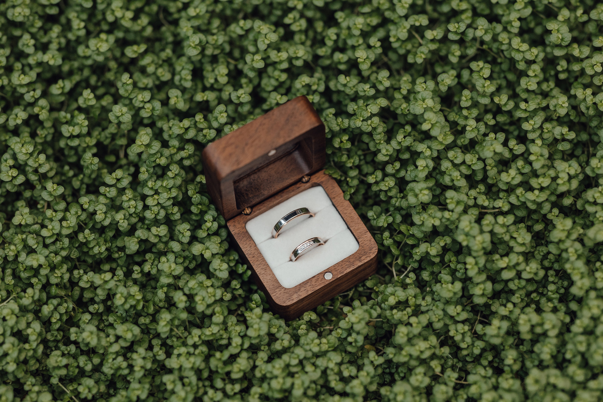 Свадебная фотосессия в Оранжерее Аптекарский огород