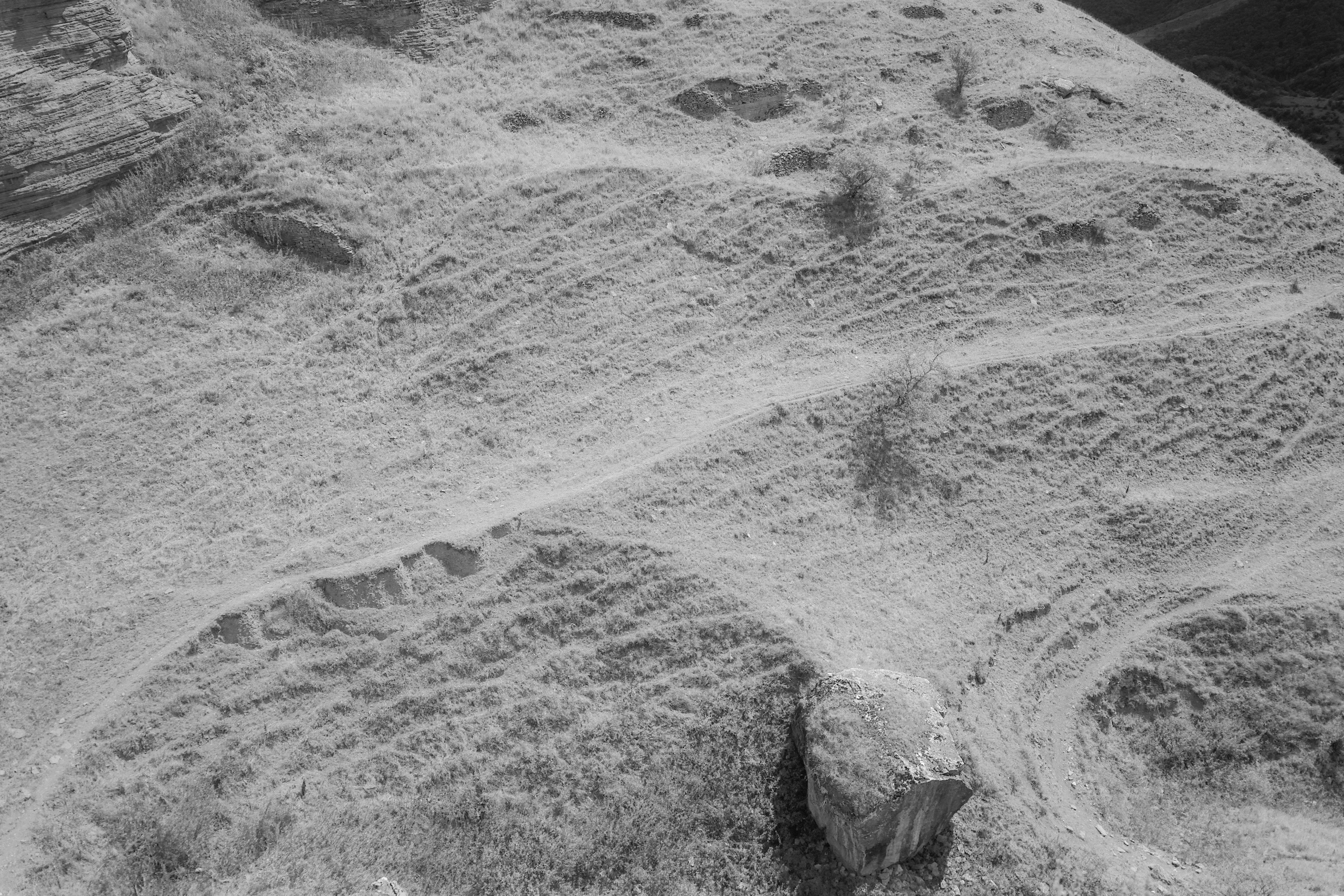 Мелодия. Ксения Плотникова