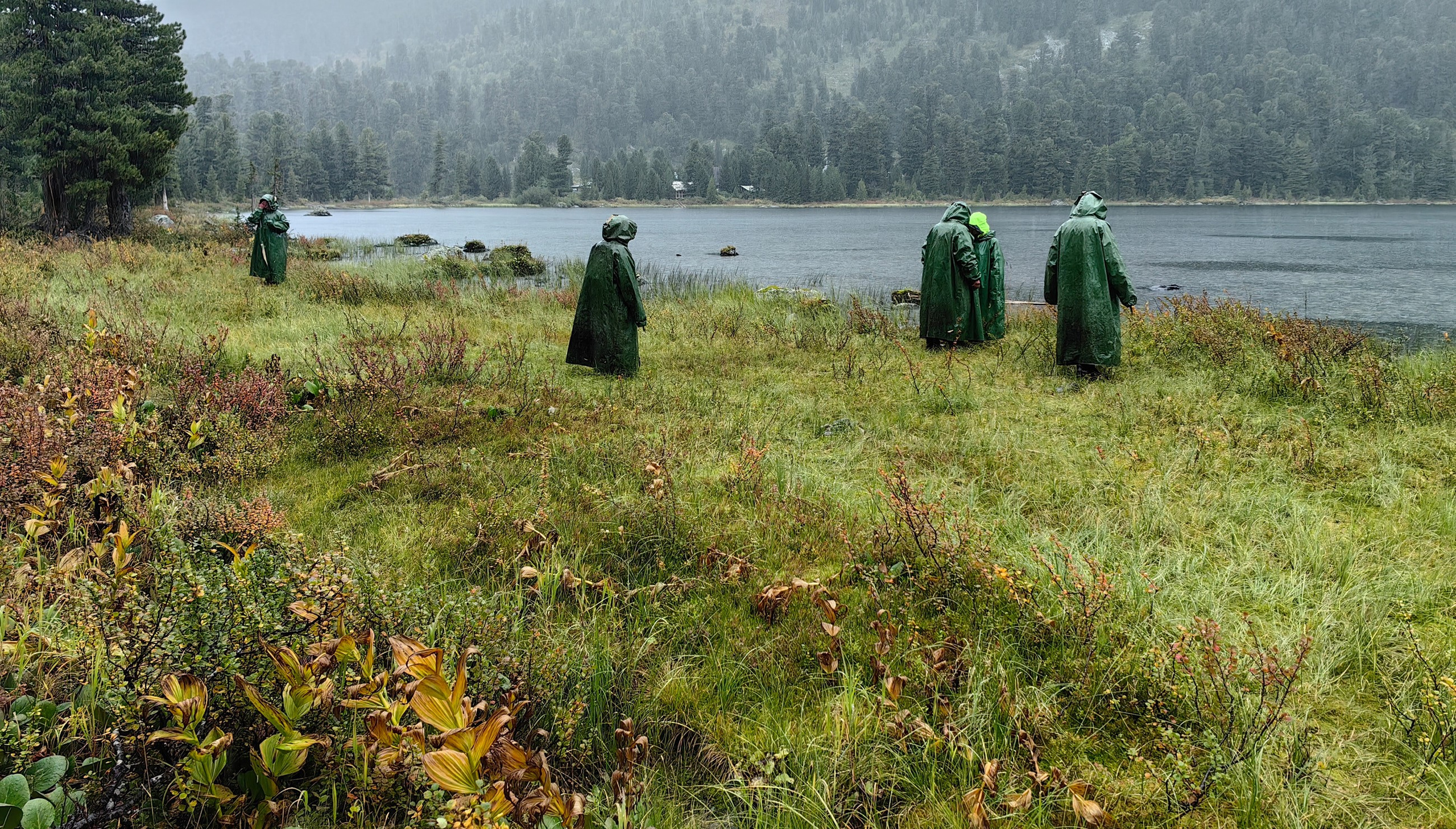 Главная. Юрий Березнюк. Фотограф в Новороссийске. Фотожурналистика