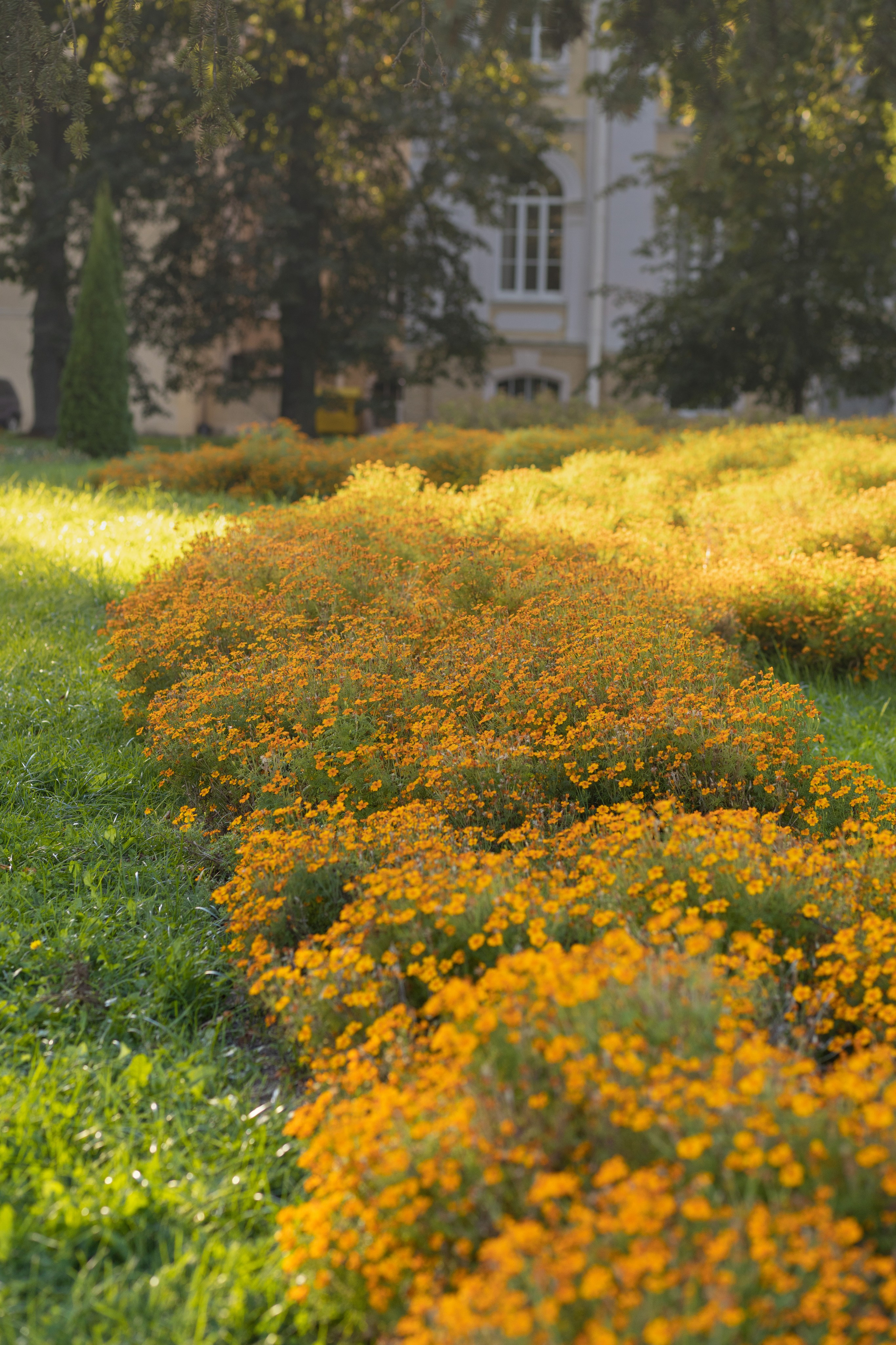 ФОТОСЕССИЯ В ПЕТЕРГОФЕ. ГДЕ СНИМАТЬ В ПЕТЕРГОФЕ