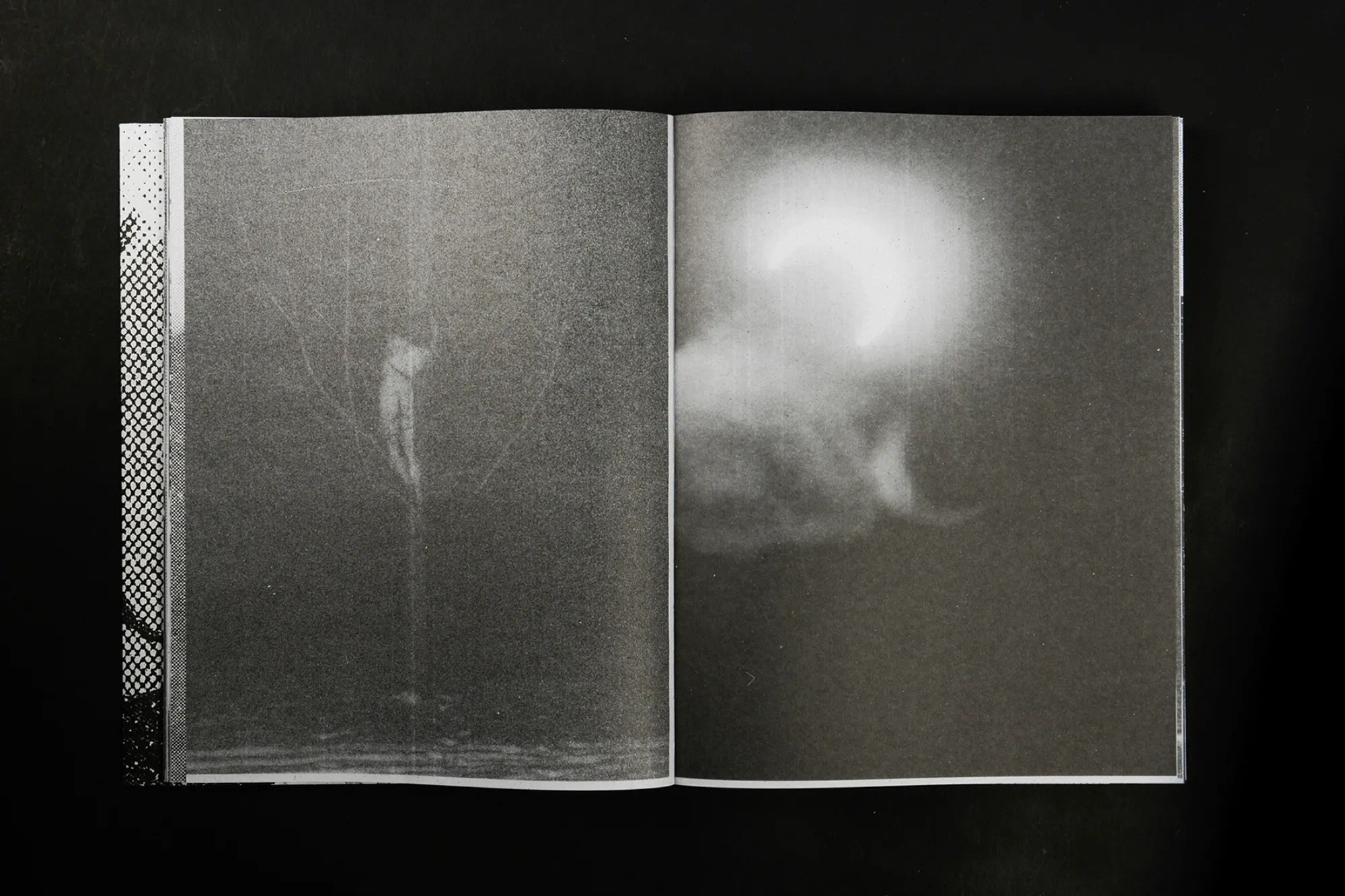 ПОПУЛЯРНЫЕ ОШИБКИ ПРИ СОЗДАНИИ ФОТОКНИГИ: Часть вторая — про содержание и нарратив. Самоорганизация Низина