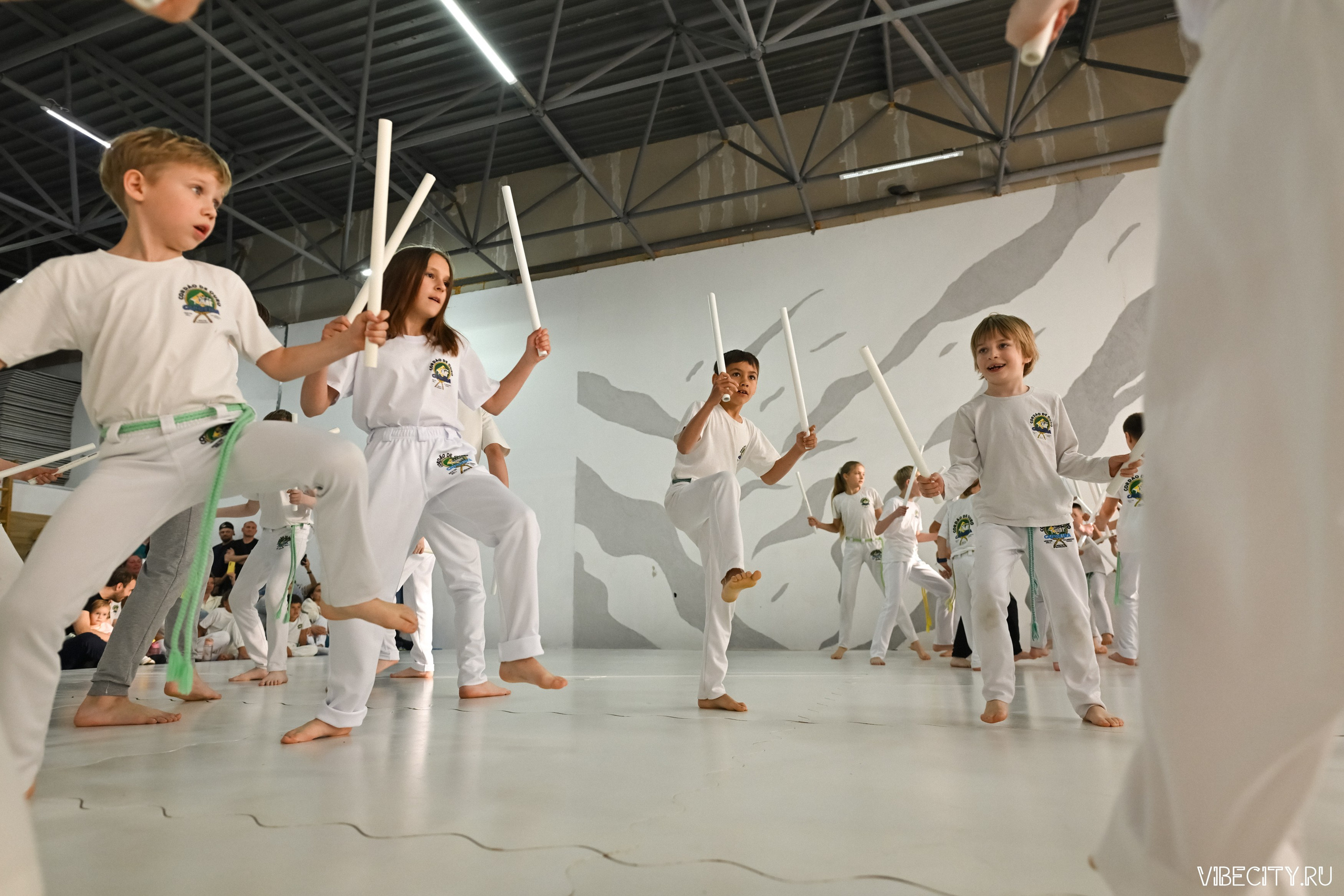 Capoeira: 4-е batizado e Troca de cordao. VIBECITY.RU Вайб Сити Ру Фоторепортажи Фотоотчеты Калининград