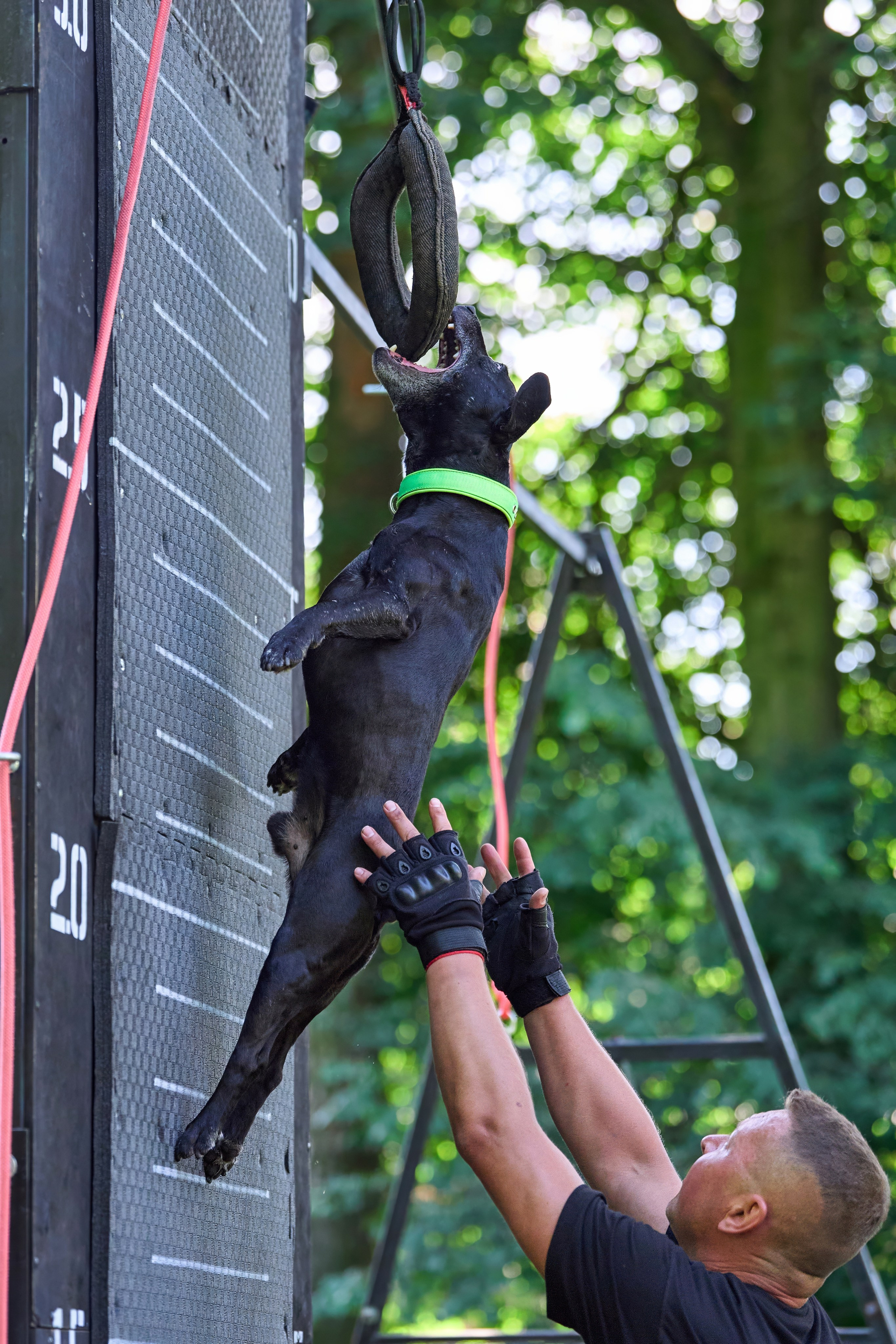 Двухдневные соревнования «Jump'n'Gym Fest — 2024». Фотограф-анималист Михаил Манухин