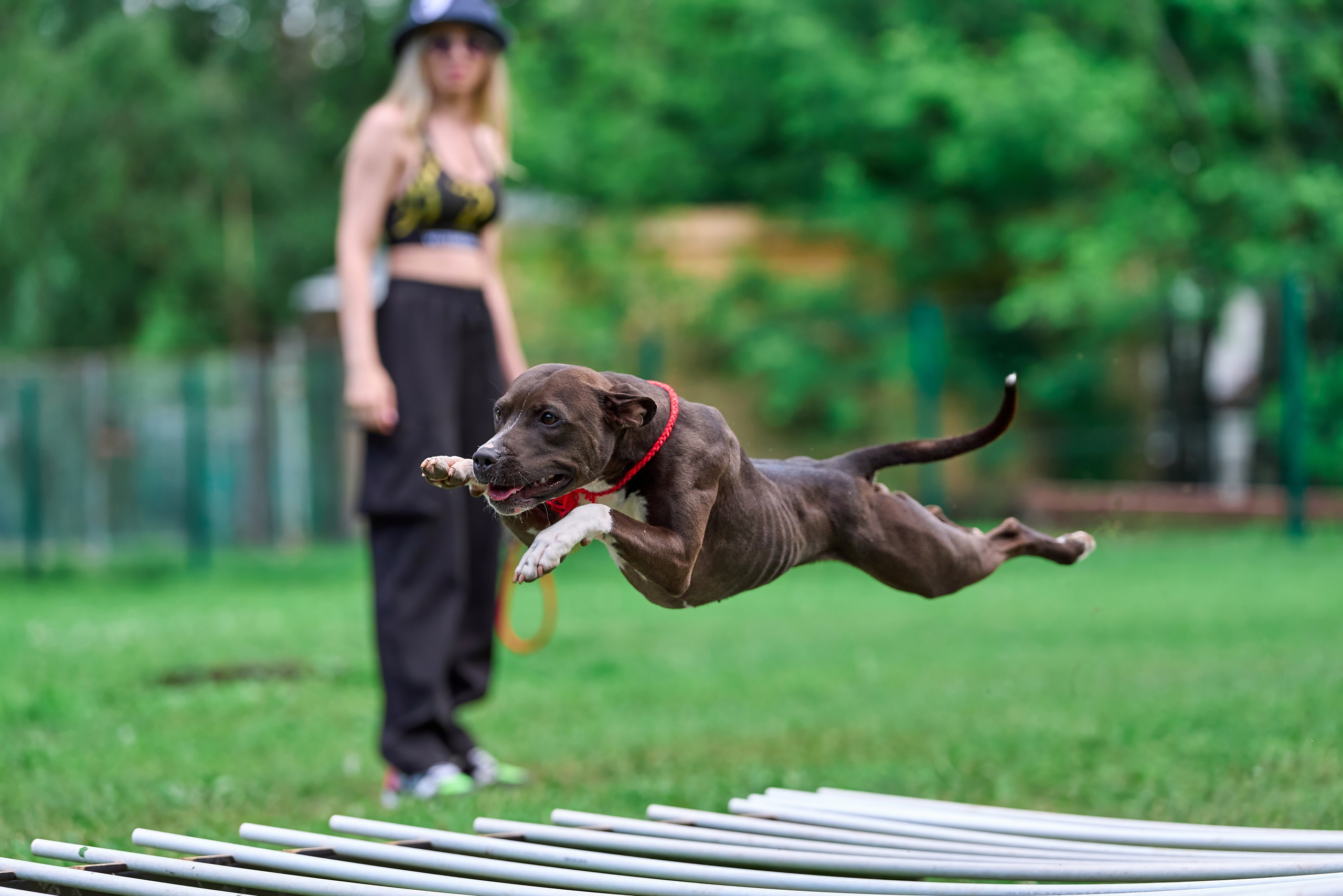 Двухдневные соревнования «Jump'n'Gym Fest — 2024». Фотограф-анималист Михаил Манухин