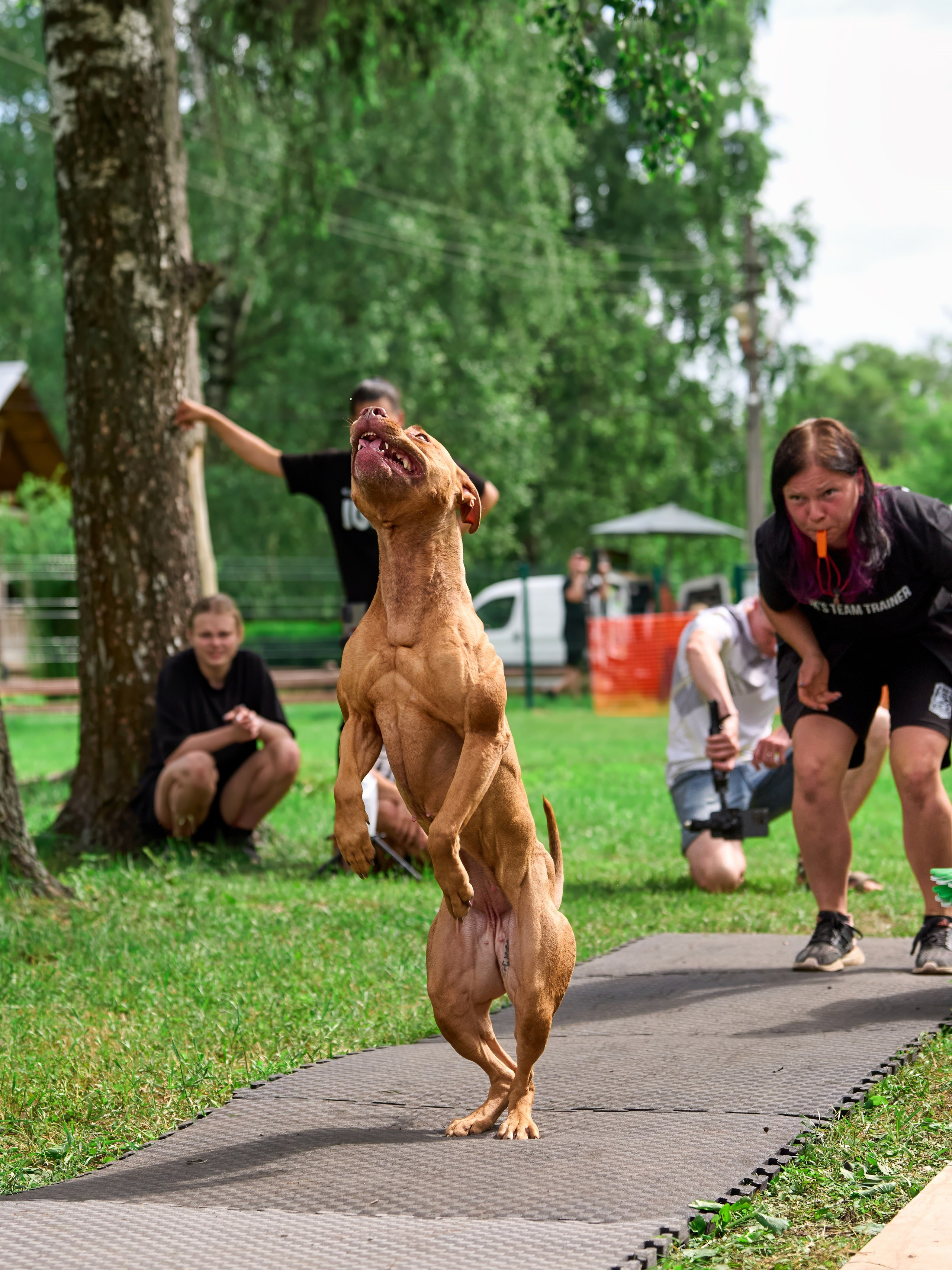 Двухдневные соревнования «Jump'n'Gym Fest — 2024». Фотограф-анималист Михаил Манухин