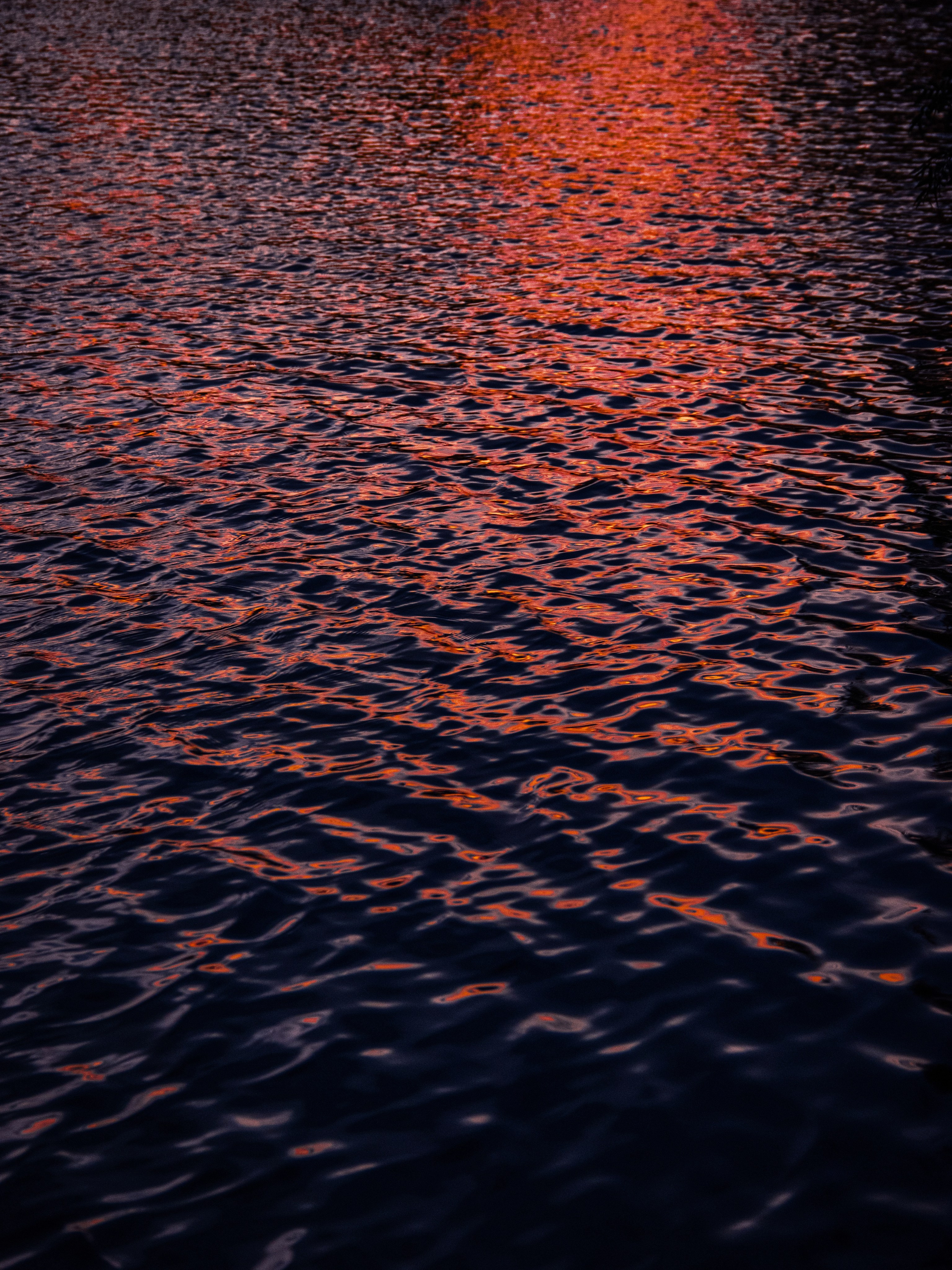 Танец света и воды. С любовью, фотохудожник