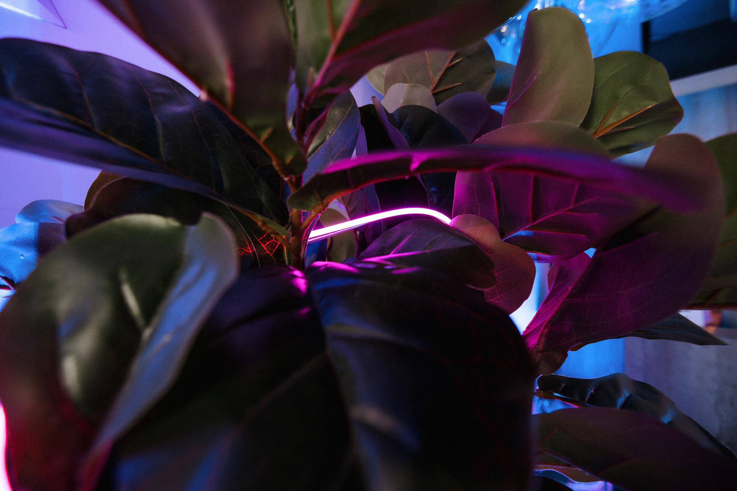 Walk-In Day в стиле киберпанк в тату-студии MUKHINA TATTOO. СВОИ. ФОТООТЧЕТЫ-СОБЫТИЯ-МЕСТА