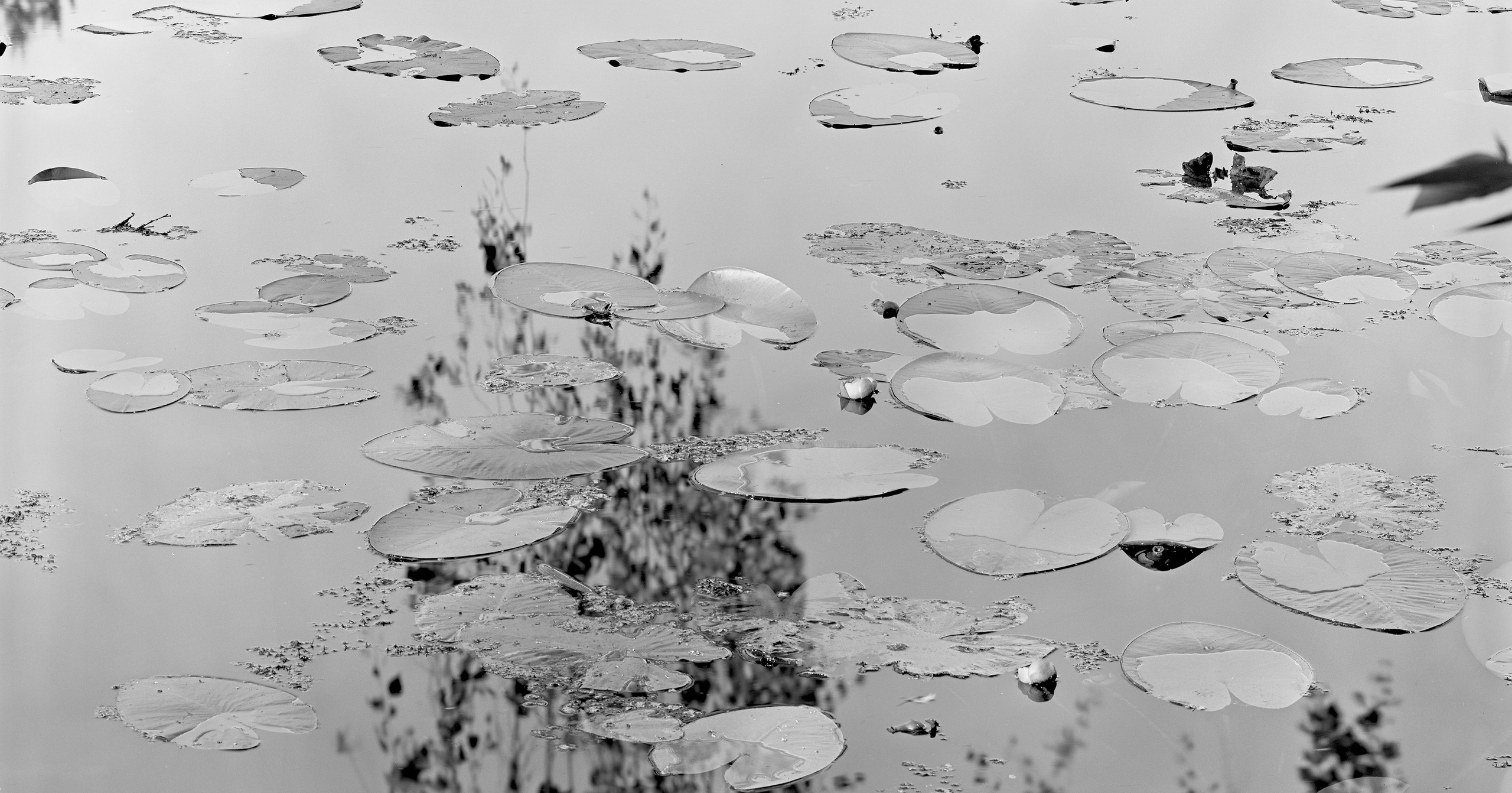 Sergey Kondriuk art-photographer | artist