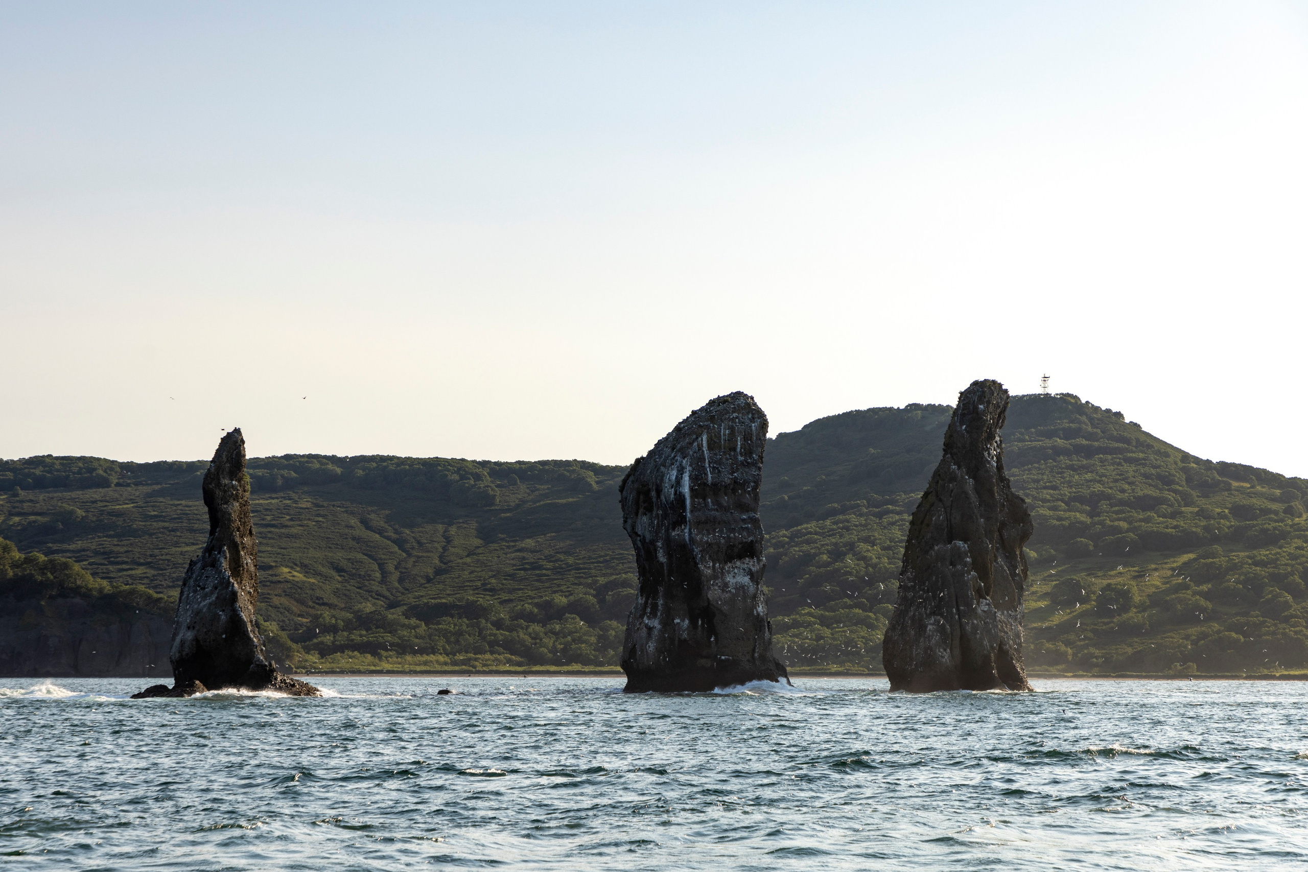 Мыс Зелёный — вулканические скалы и океанские виды. Время Камчатки: чтобы найти свой путь, нужно скорость умножить на время