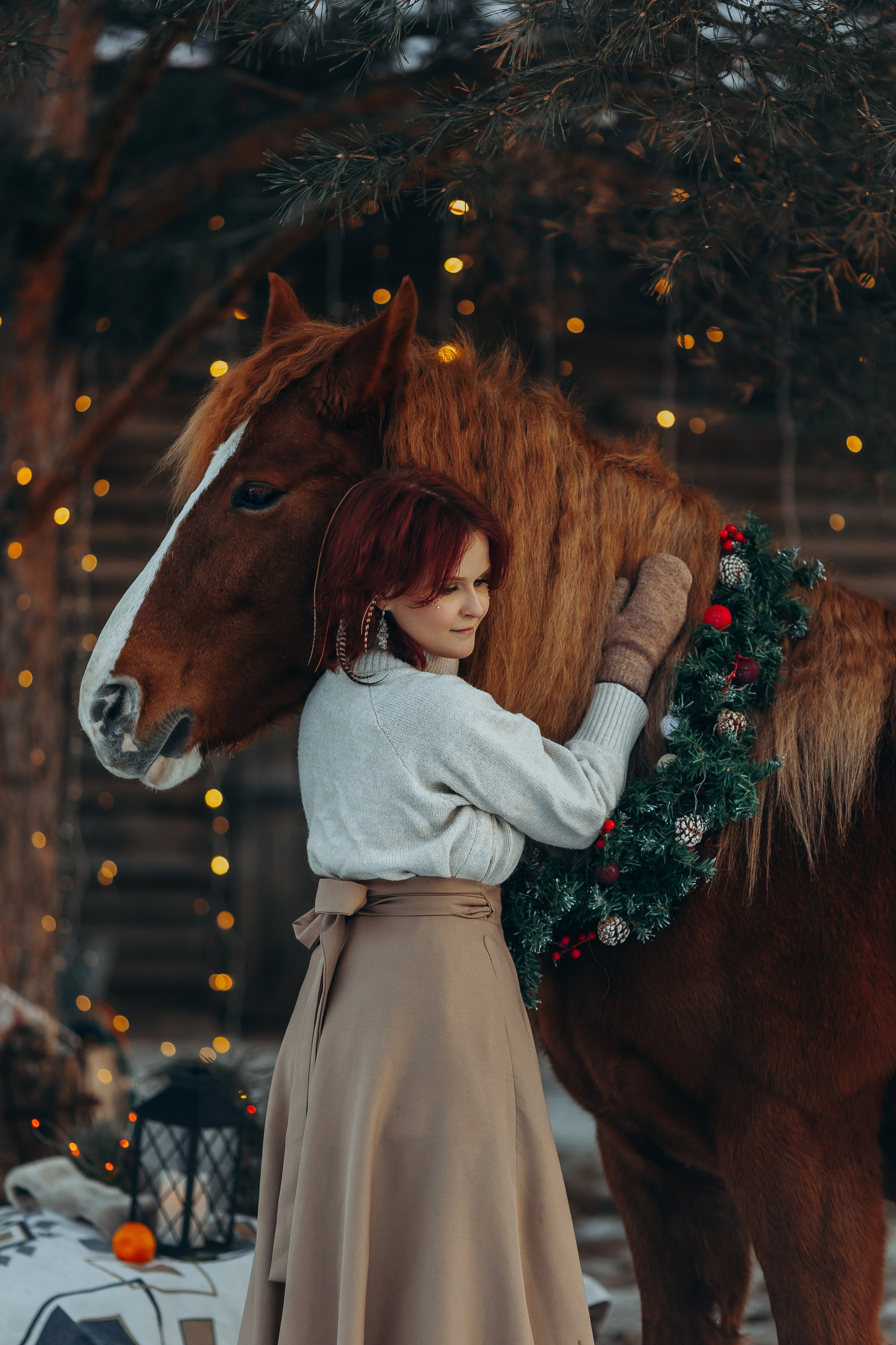 Тариф новогодний 2024. Анна Молчанова конный фотограф в Тюмени | фотосессии с лошадьми Тюмень