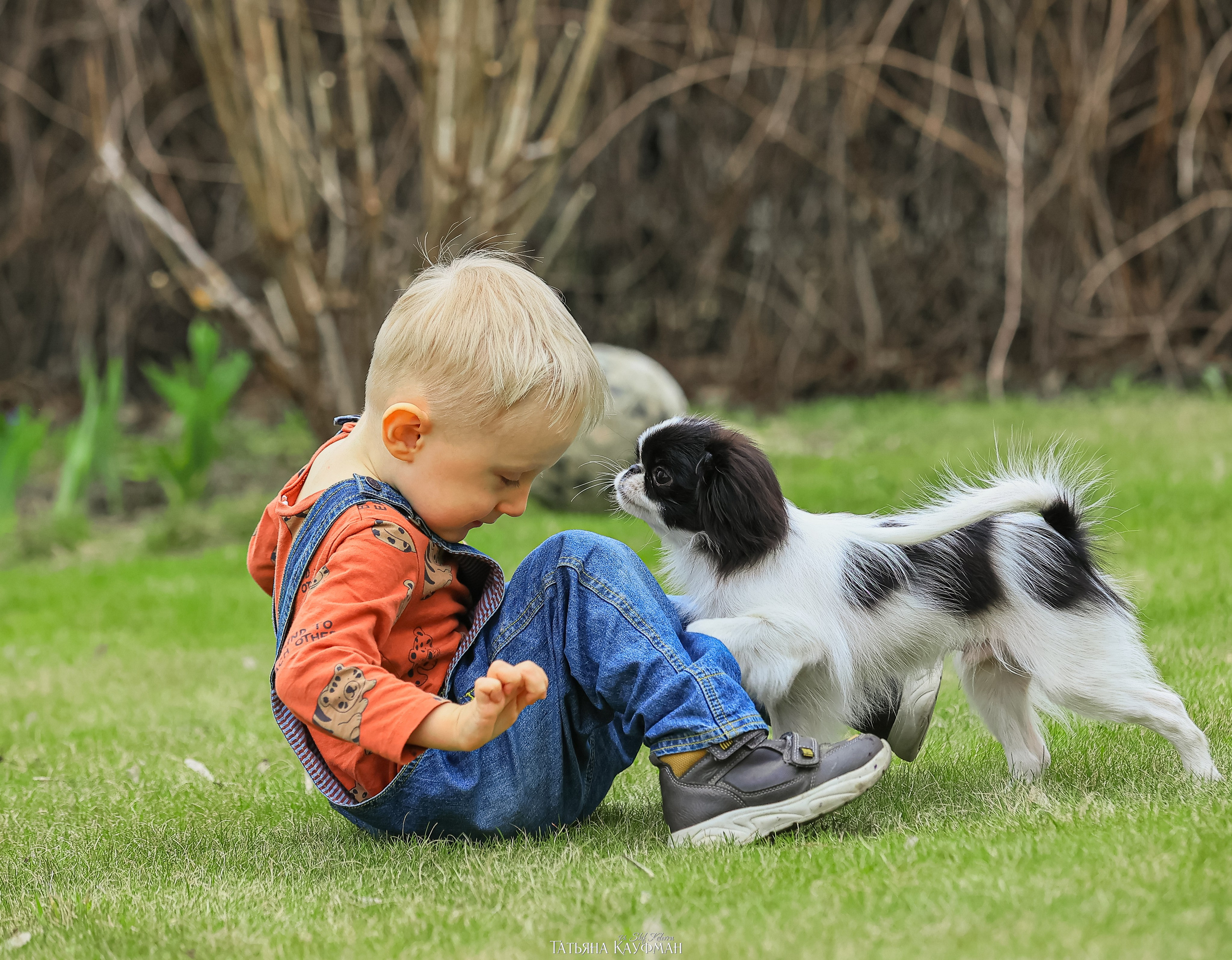 Охиненный фотодень. Фотограф Анималист из Новосибирска Татьяна Кауфман