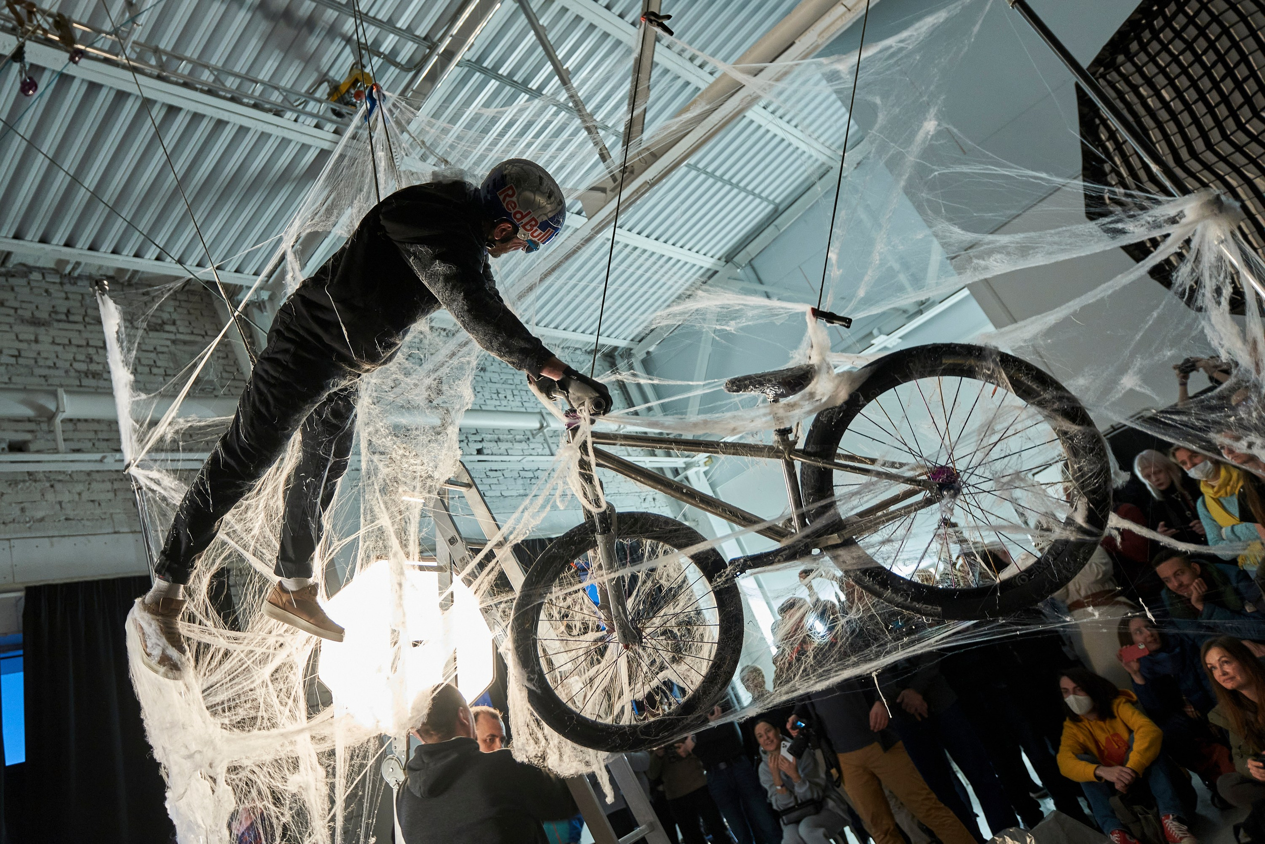 Cobweb. Creative Photographer Denis Klero