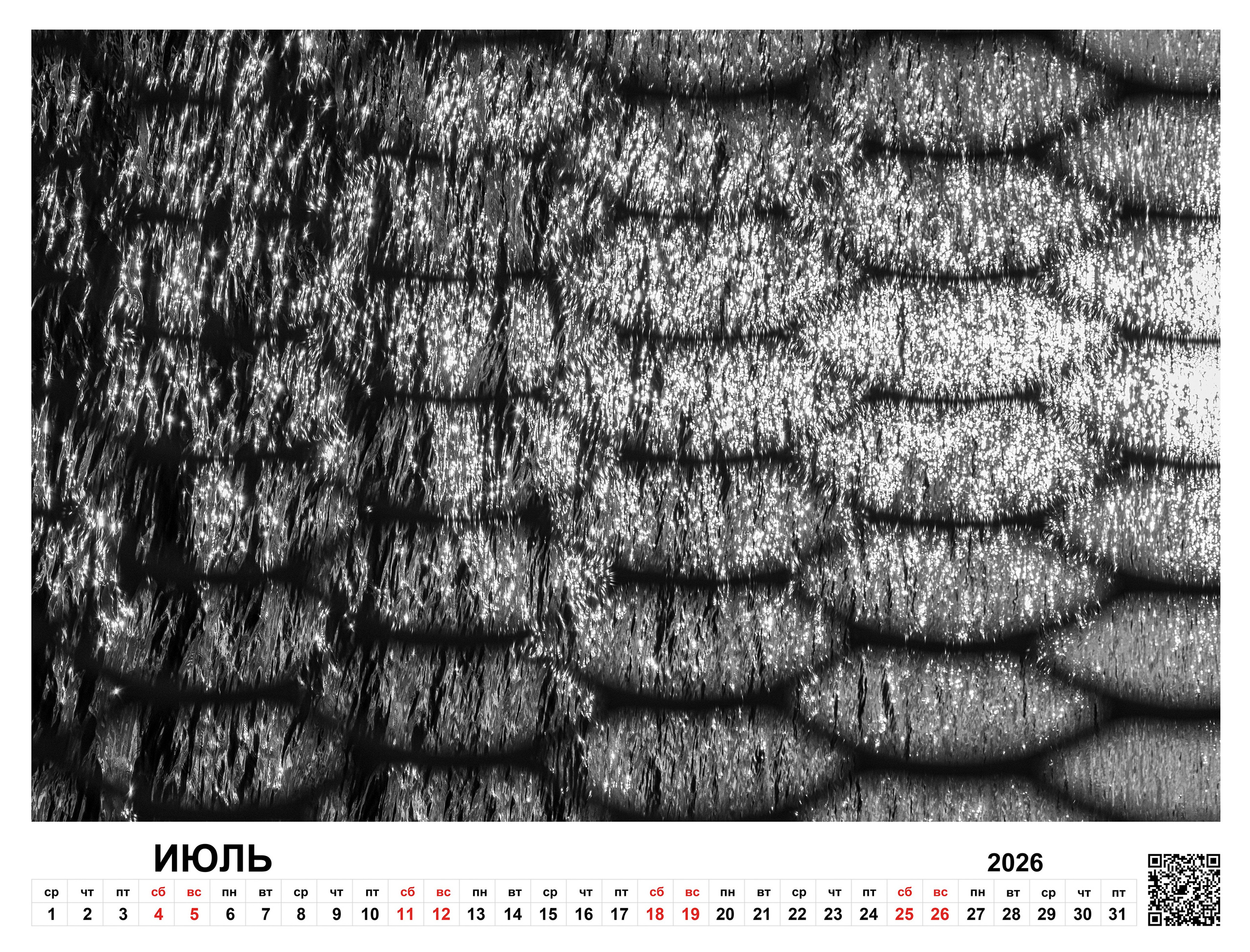 Order. Dimitri Bakhtadze photographer