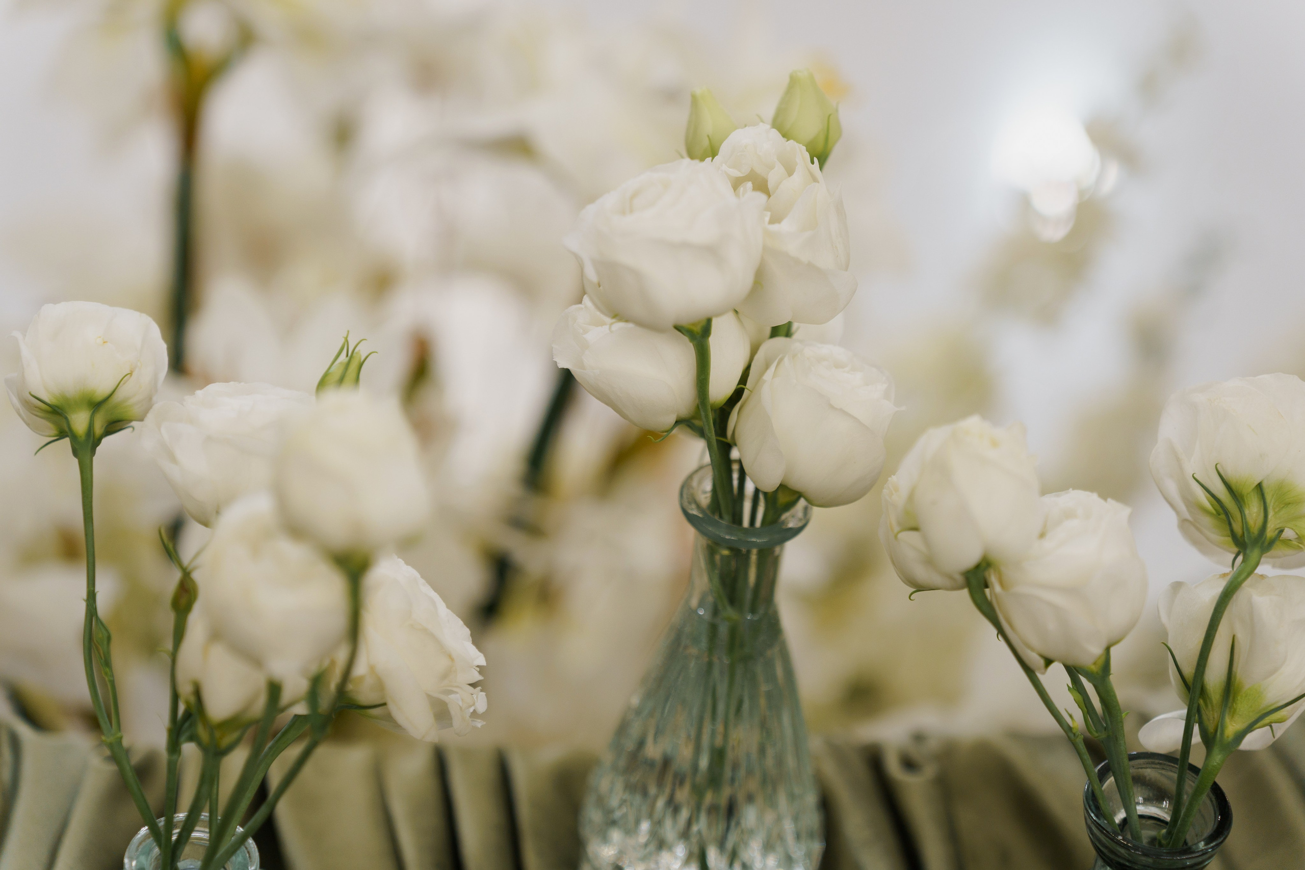 Сватовство в Краснодаре от лучших свадебных фотографов и операторов ТВИНС СТУДИО. ТВИНС СТУДИО — лучшие свадебные фотографы и видеографы в Краснодаре