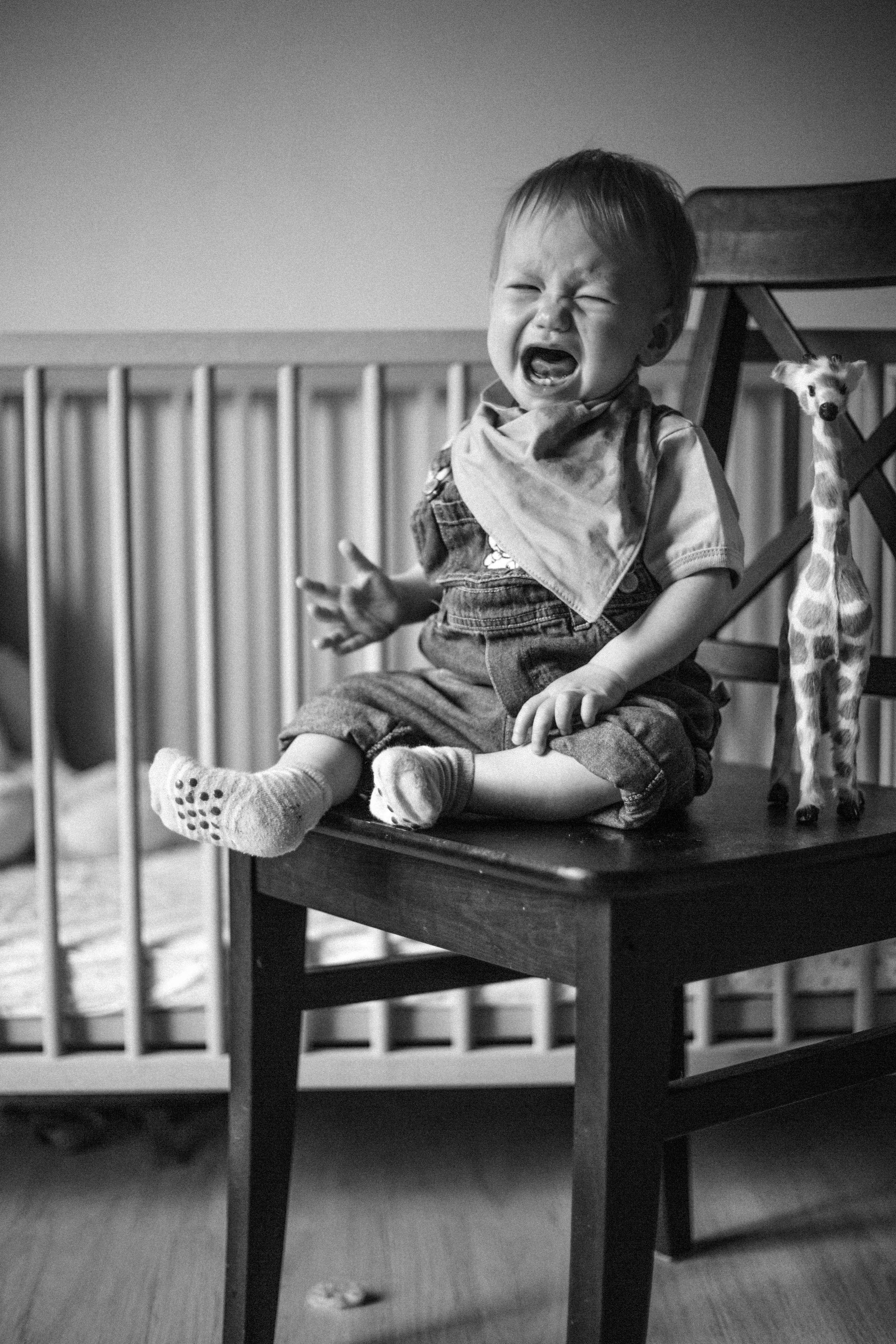 Foto-creator Alisa Zobova