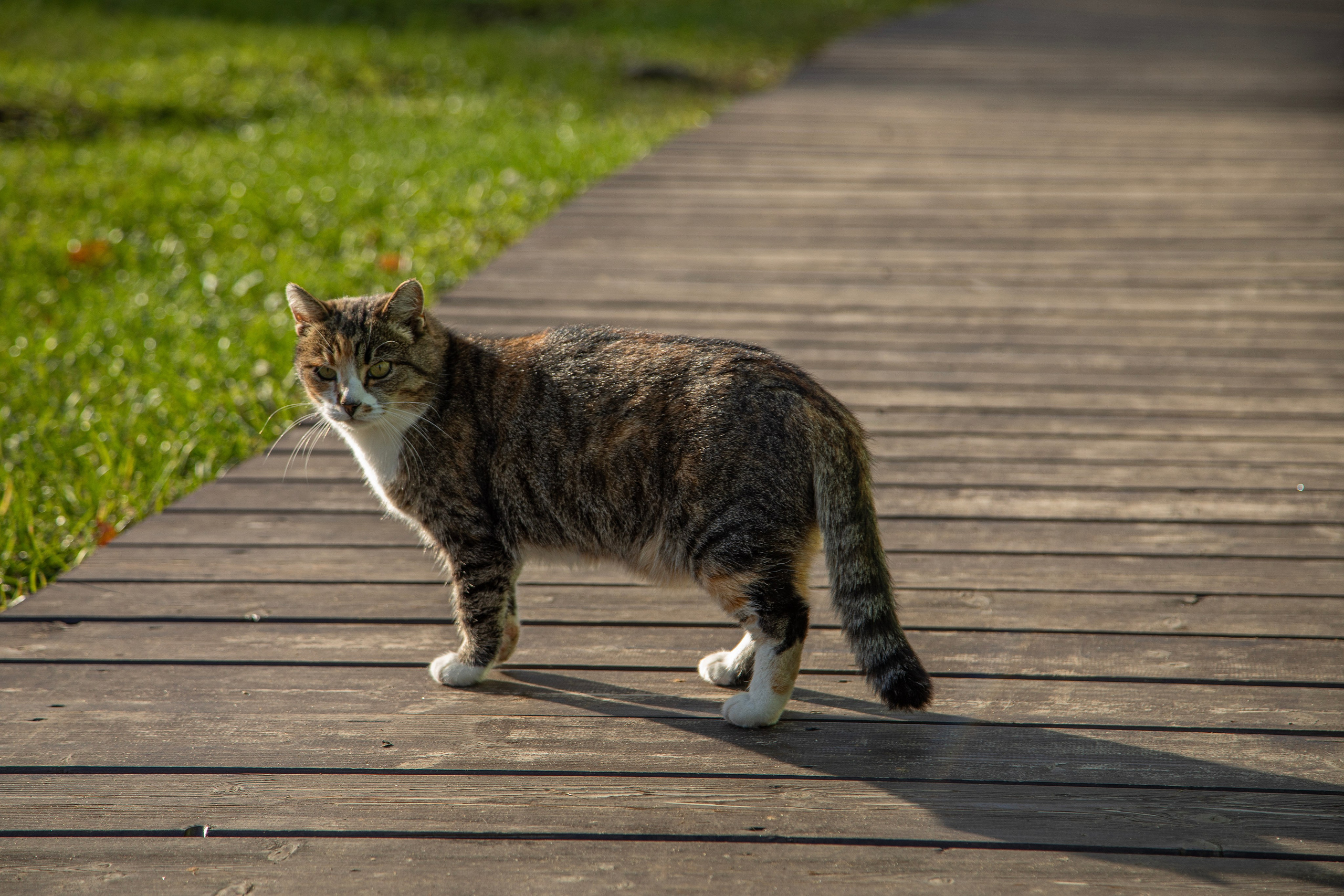 Воскресенье в г. Дмитров. Фотограф Сергей Ловкий