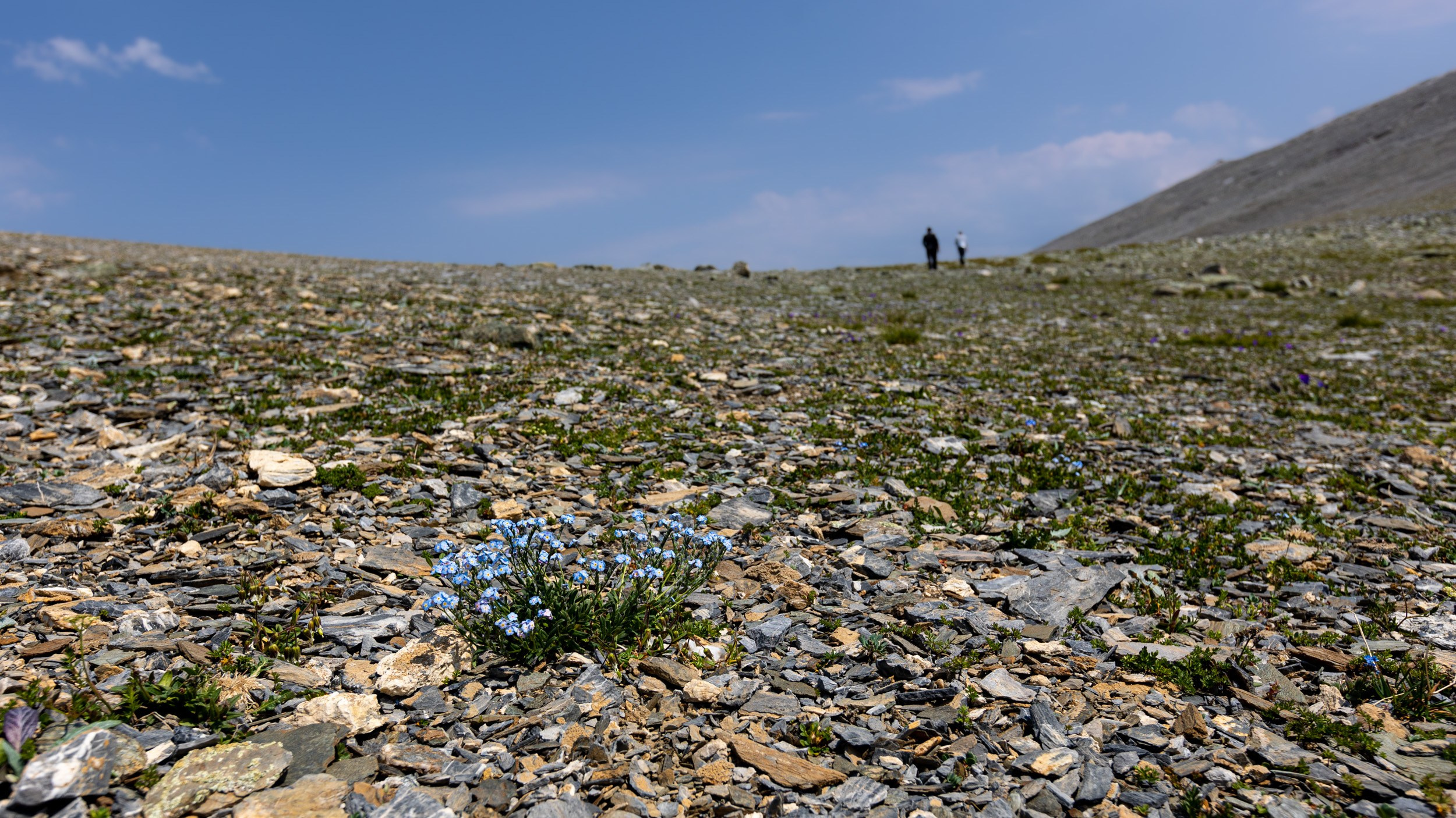 Архыз. Плато Абишира-Ахуба. Пейзажная и архитектурная фотография в Туле, Татьяна Silva