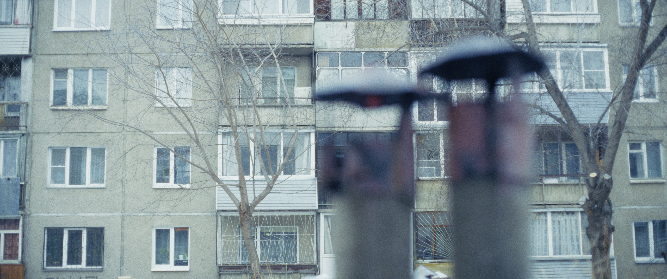 Гидра. Василий Буйлов|Vasilii Builov