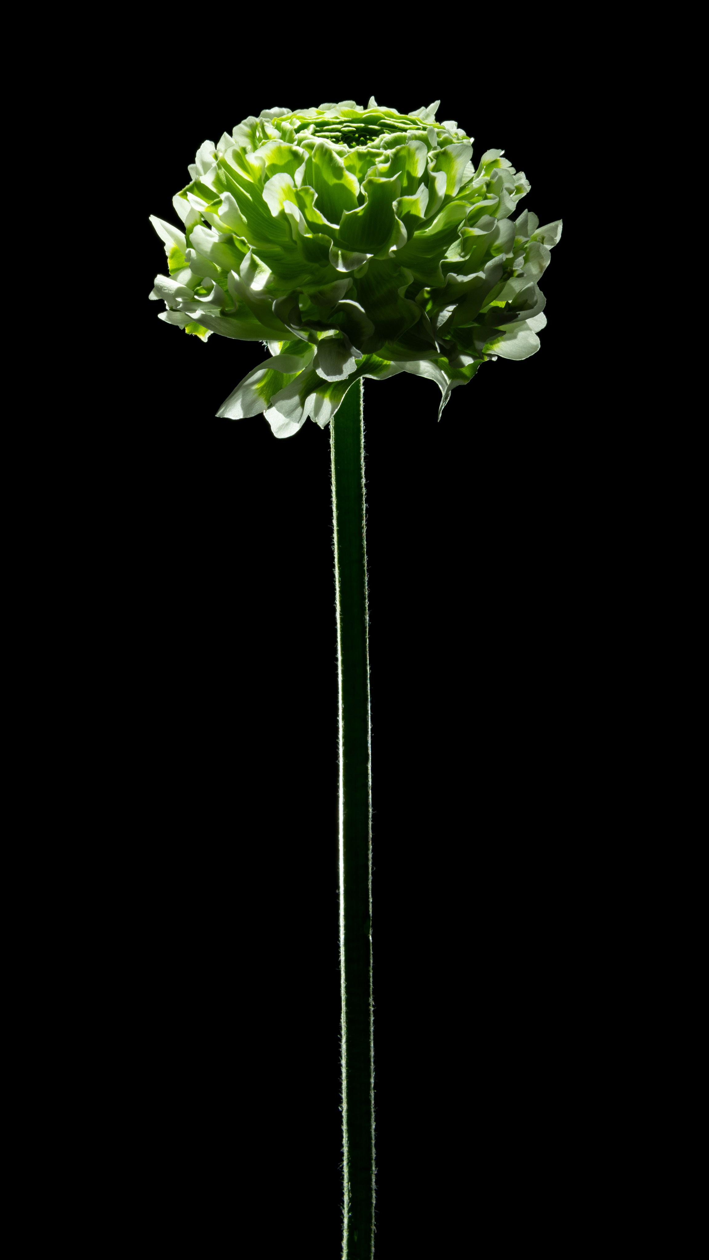 Проекты. Sakunov Photo