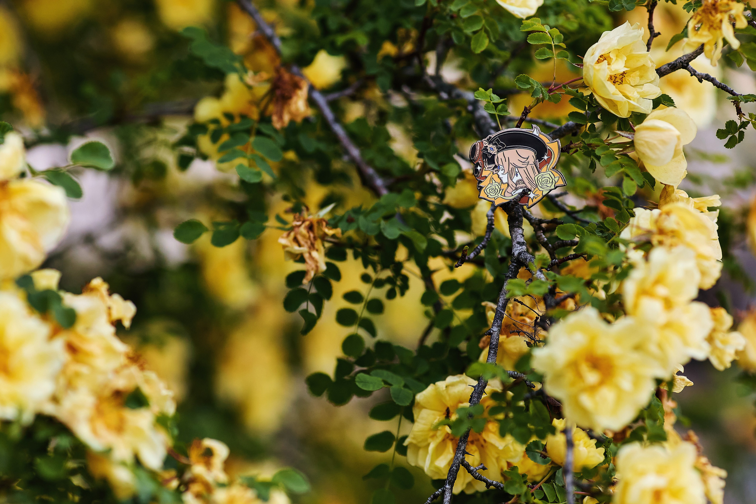 Портретная фотосессия с цветами в центре Владивостока