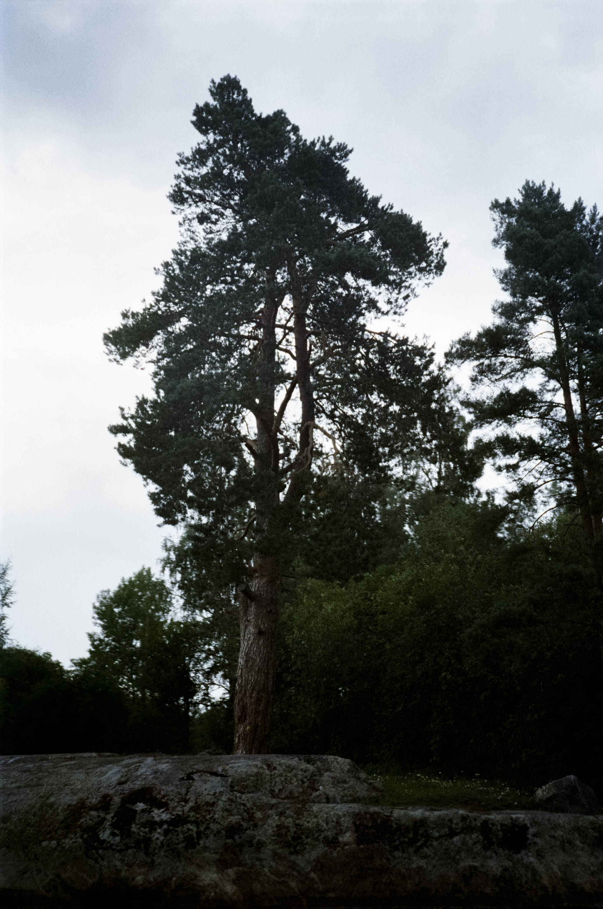 Ладожские шхеры, пленка Fuji eterna 500t