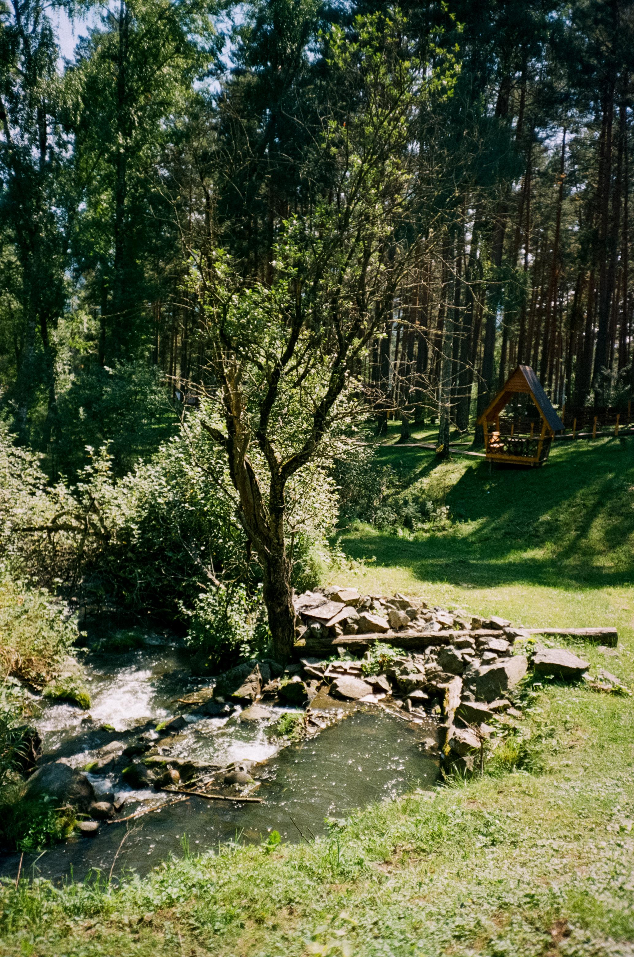 Камышлинский водопад / Canon 11 World Cup 1994 / Kodak Color 400