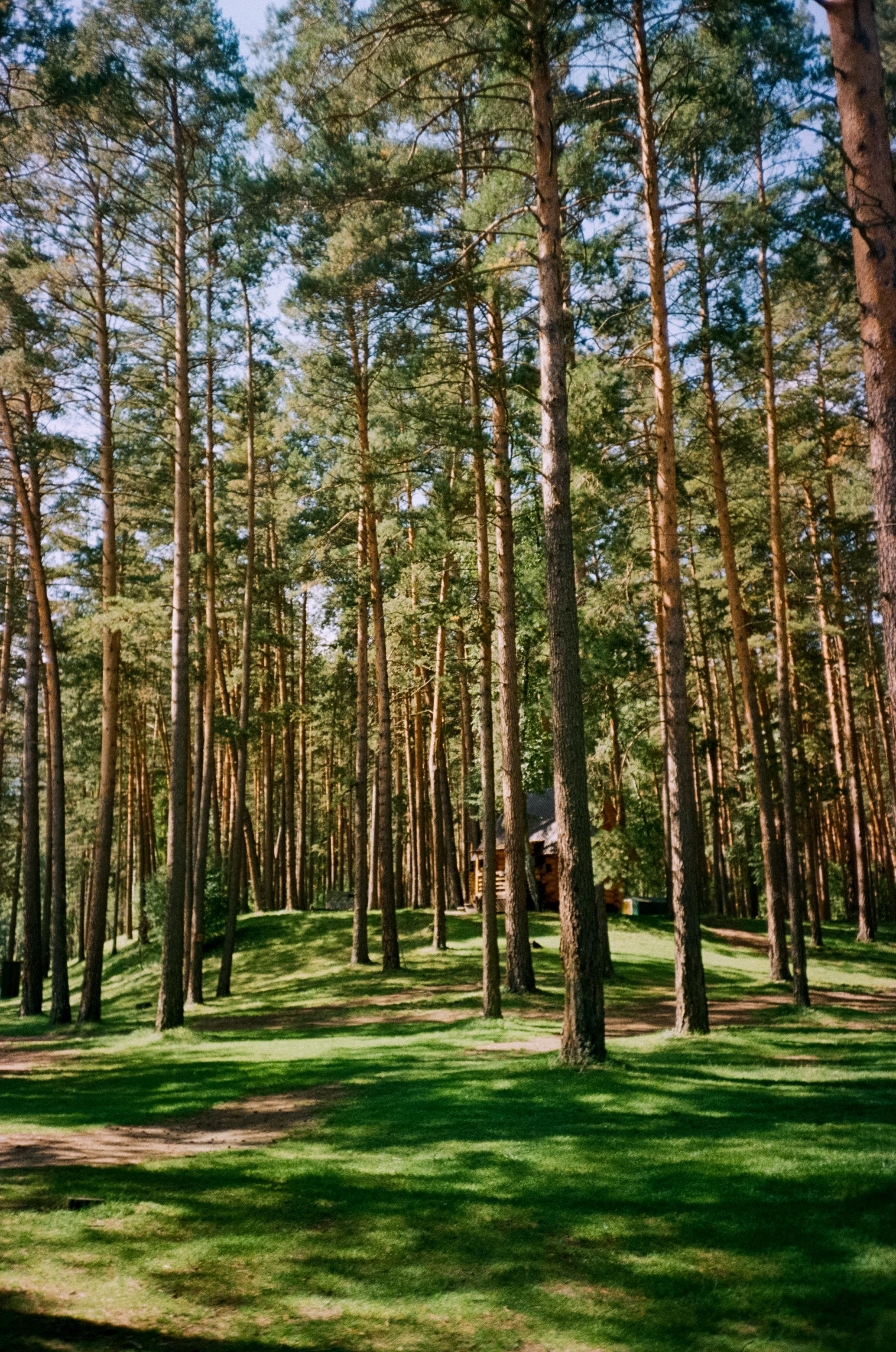 Камышлинский водопад / Canon 11 World Cup 1994 / Kodak Color 400