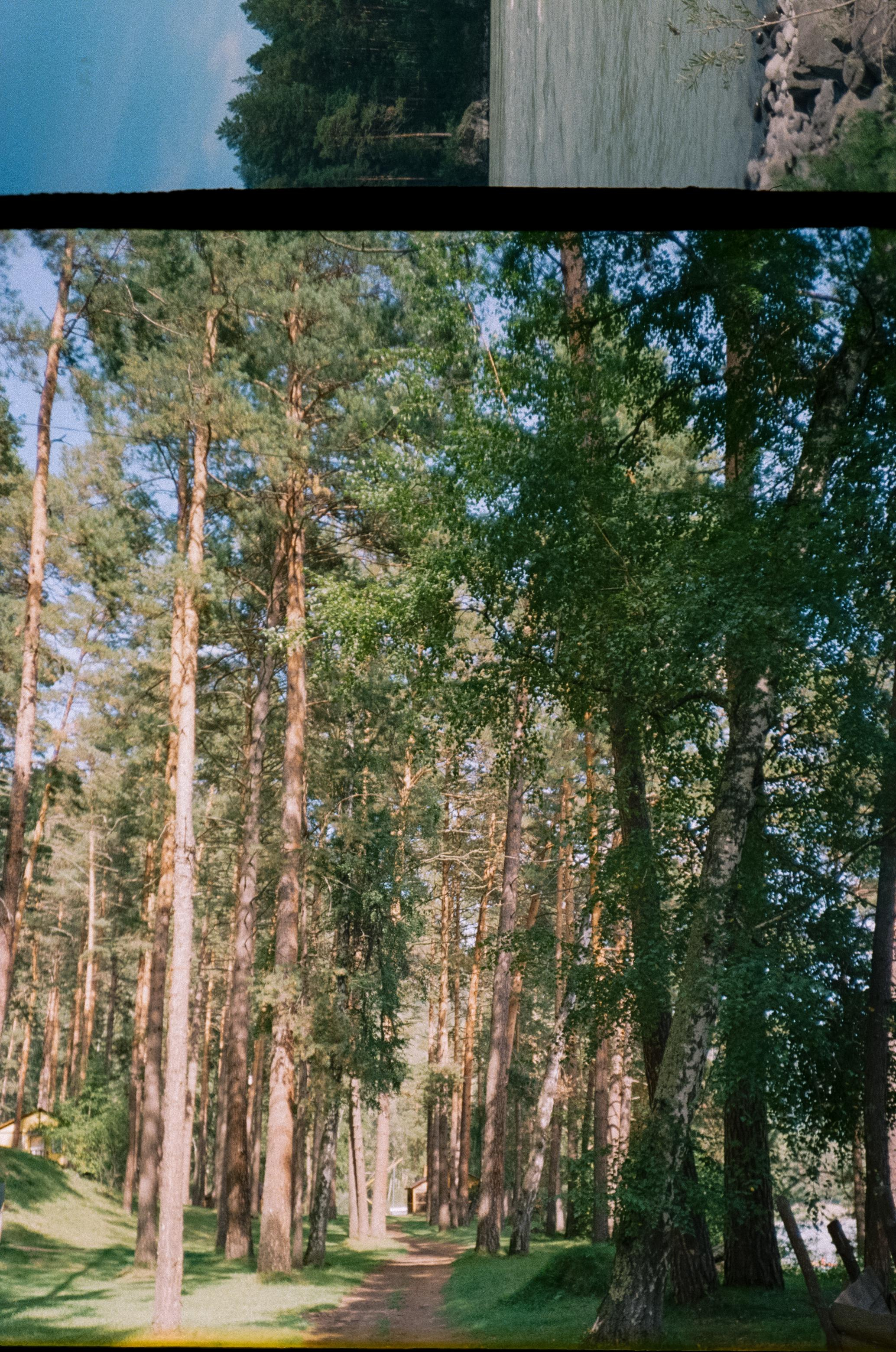 Камышлинский водопад / Canon 11 World Cup 1994 / Kodak Color 400