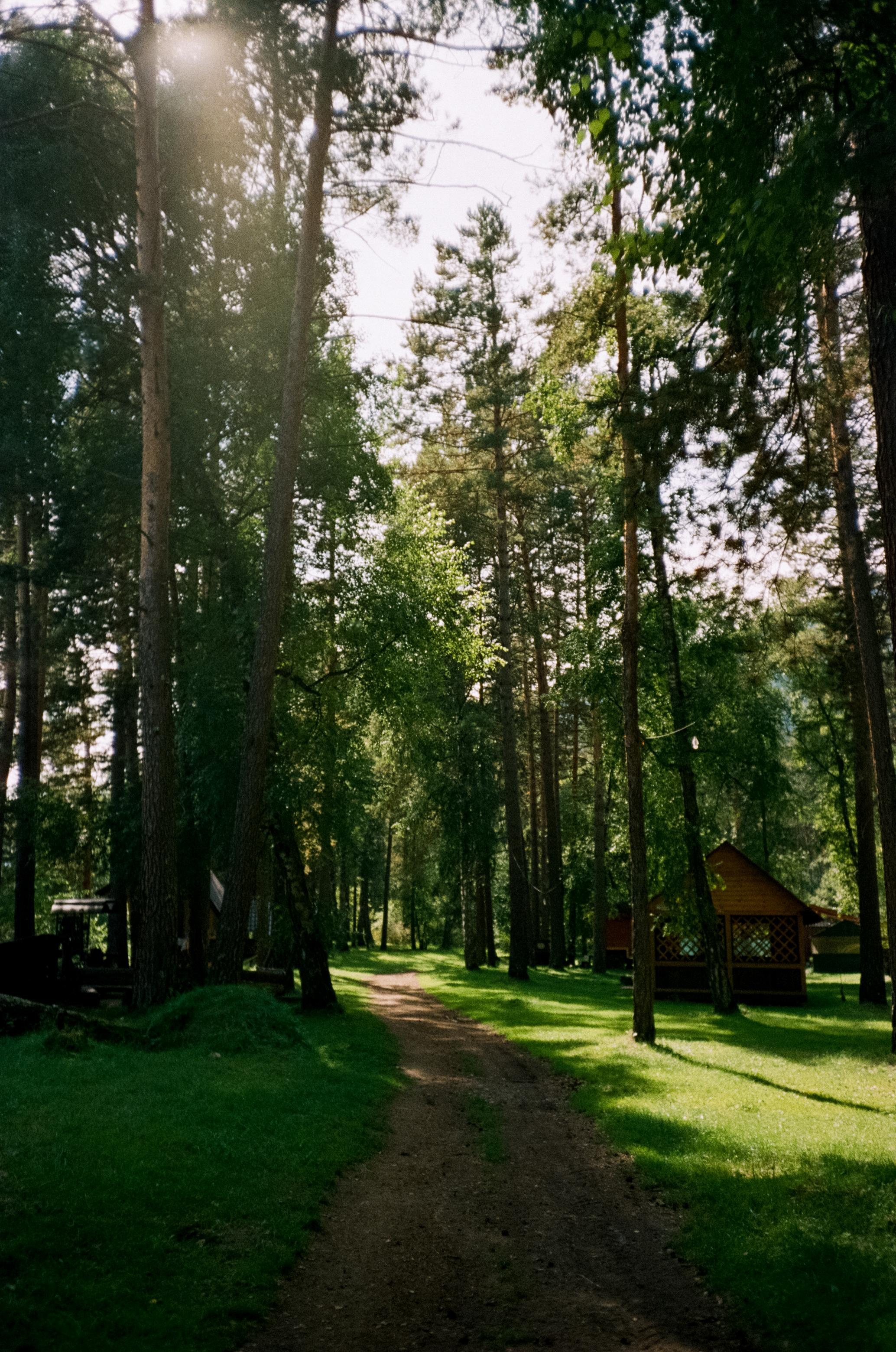 Камышлинский водопад / Canon 11 World Cup 1994 / Kodak Color 400