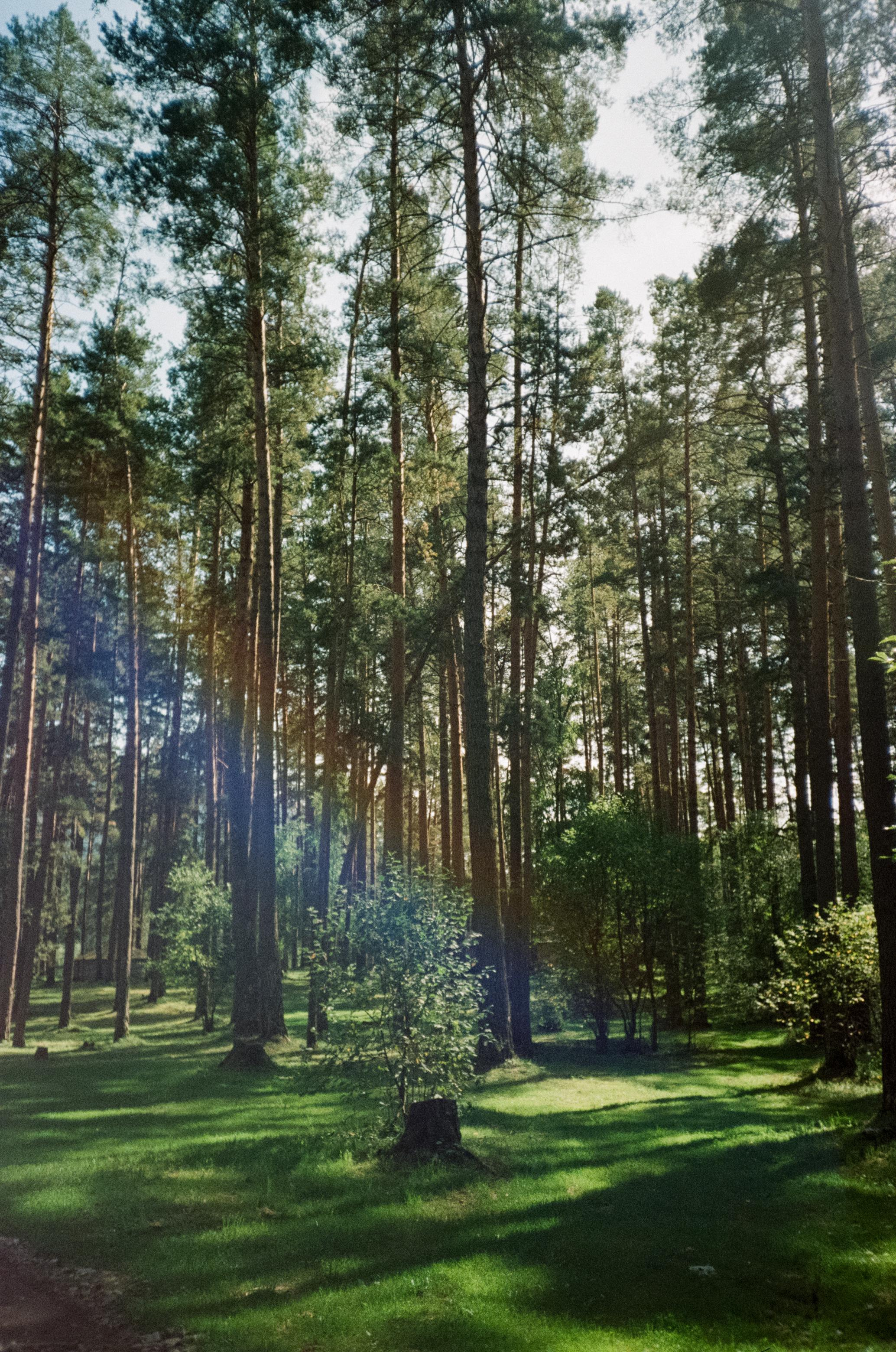 Камышлинский водопад / Canon 11 World Cup 1994 / Kodak Color 400