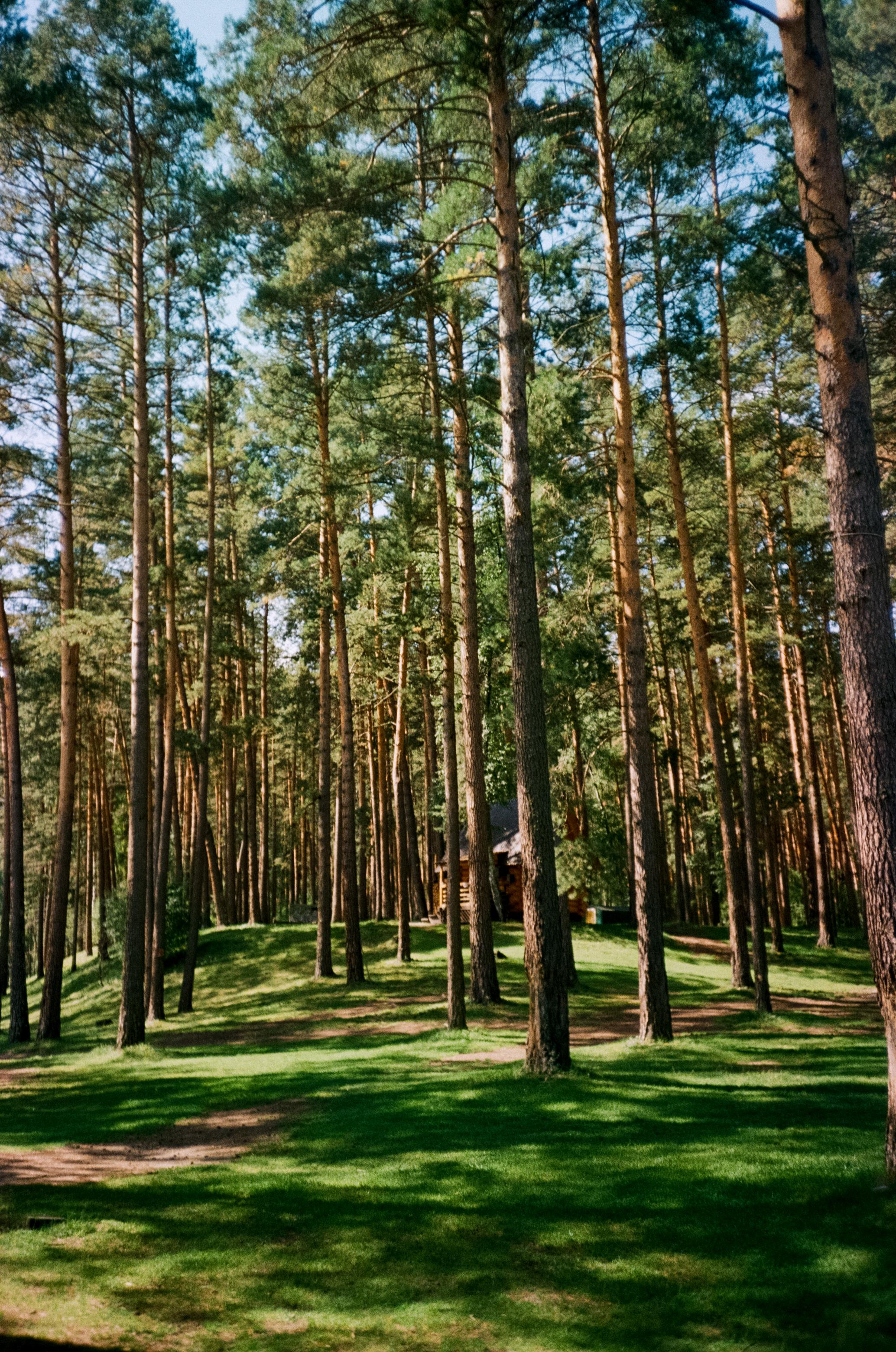 Камышлинский водопад / Canon 11 World Cup 1994 / Kodak Color 400