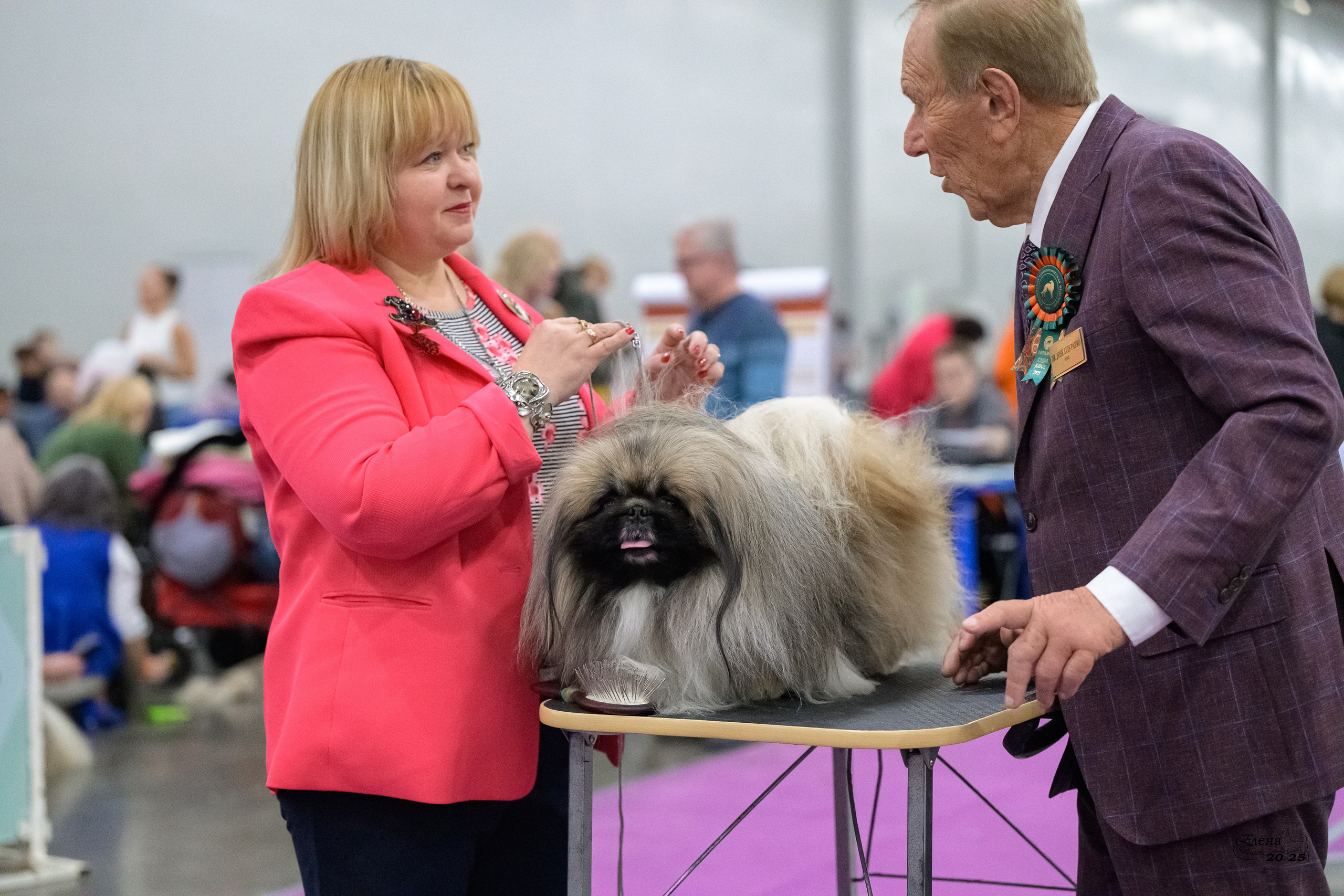 15-16.11.2025 ЕВРАЗИЯ г. Москва. Фотограф анималист Елена Галдина г. Красноярск
