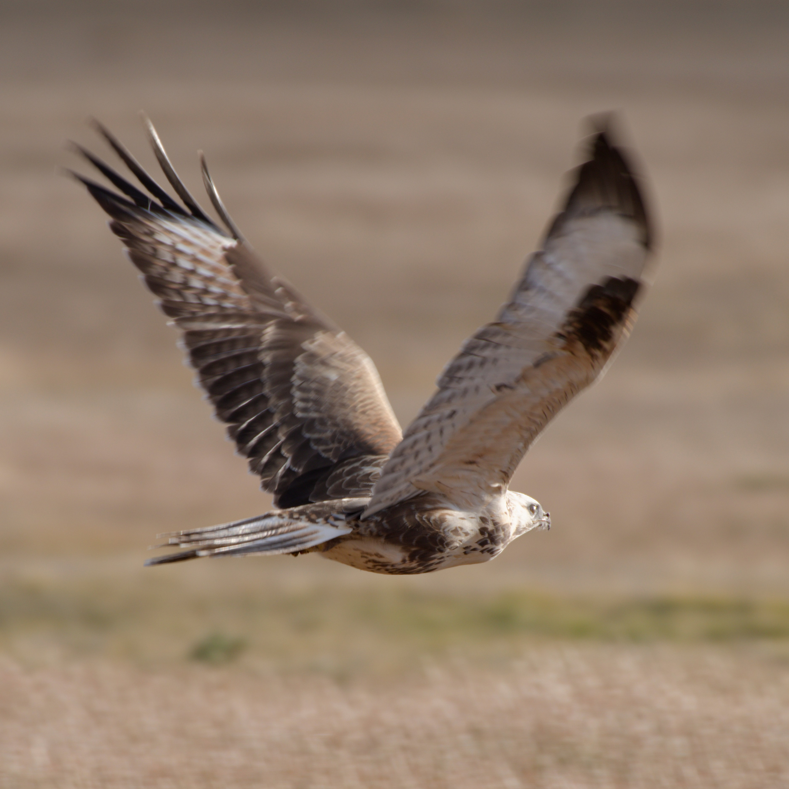 Путешествие по южному Алтаю. Семоха Валерий. Фотограф