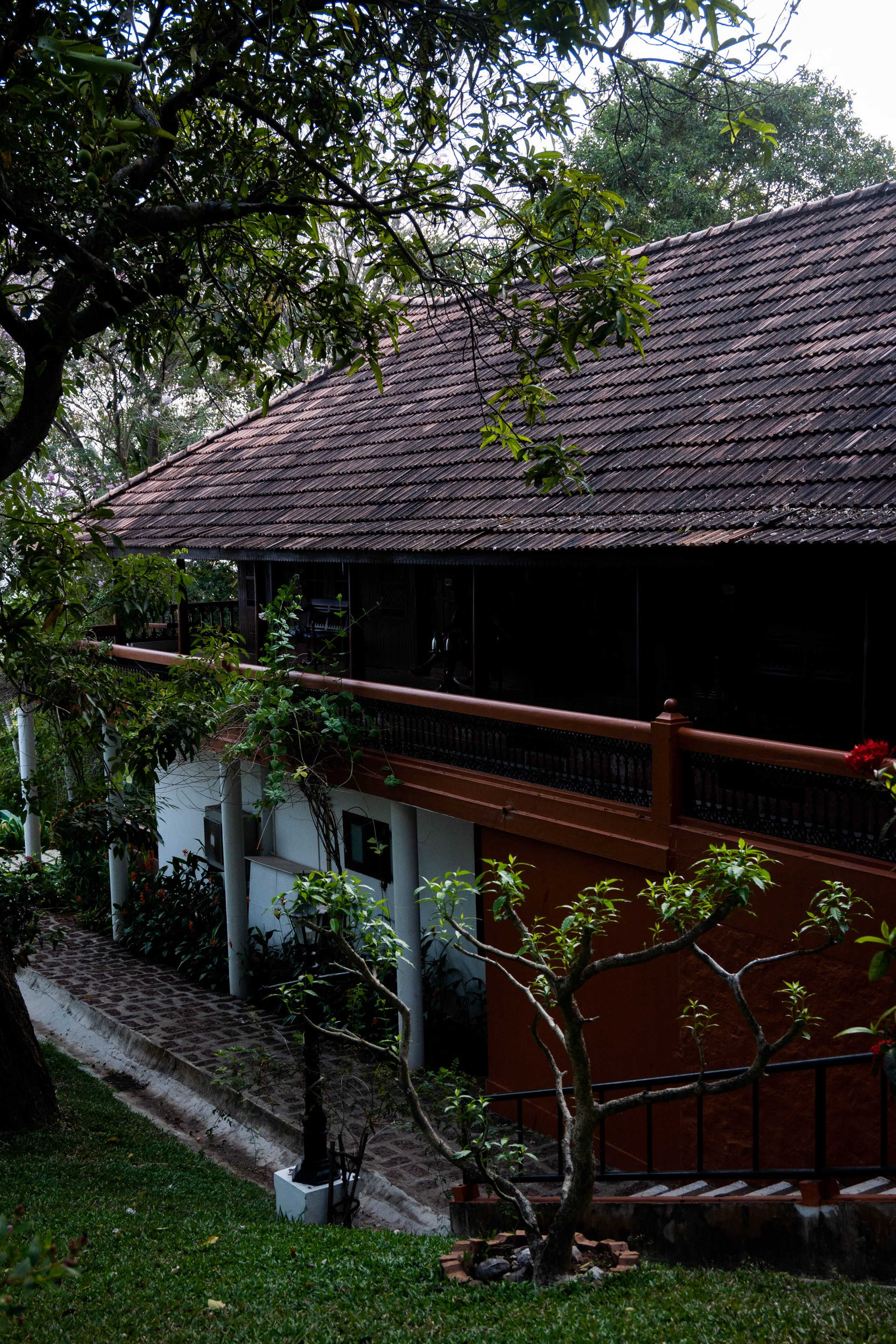 ИНДИЯ. Фотограф Анастасия Броварник в Санкт-Петербурге