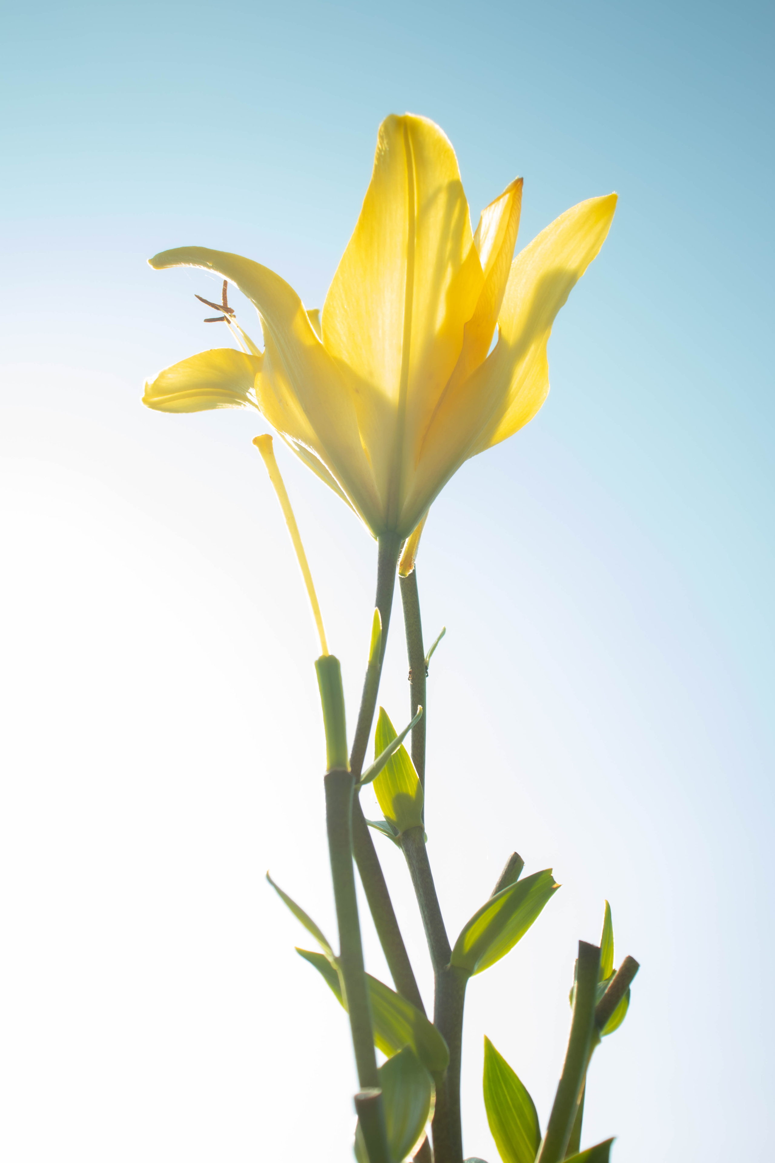 «Tolga Trip». Портретный фотограф Ярославль I Натали Чуб