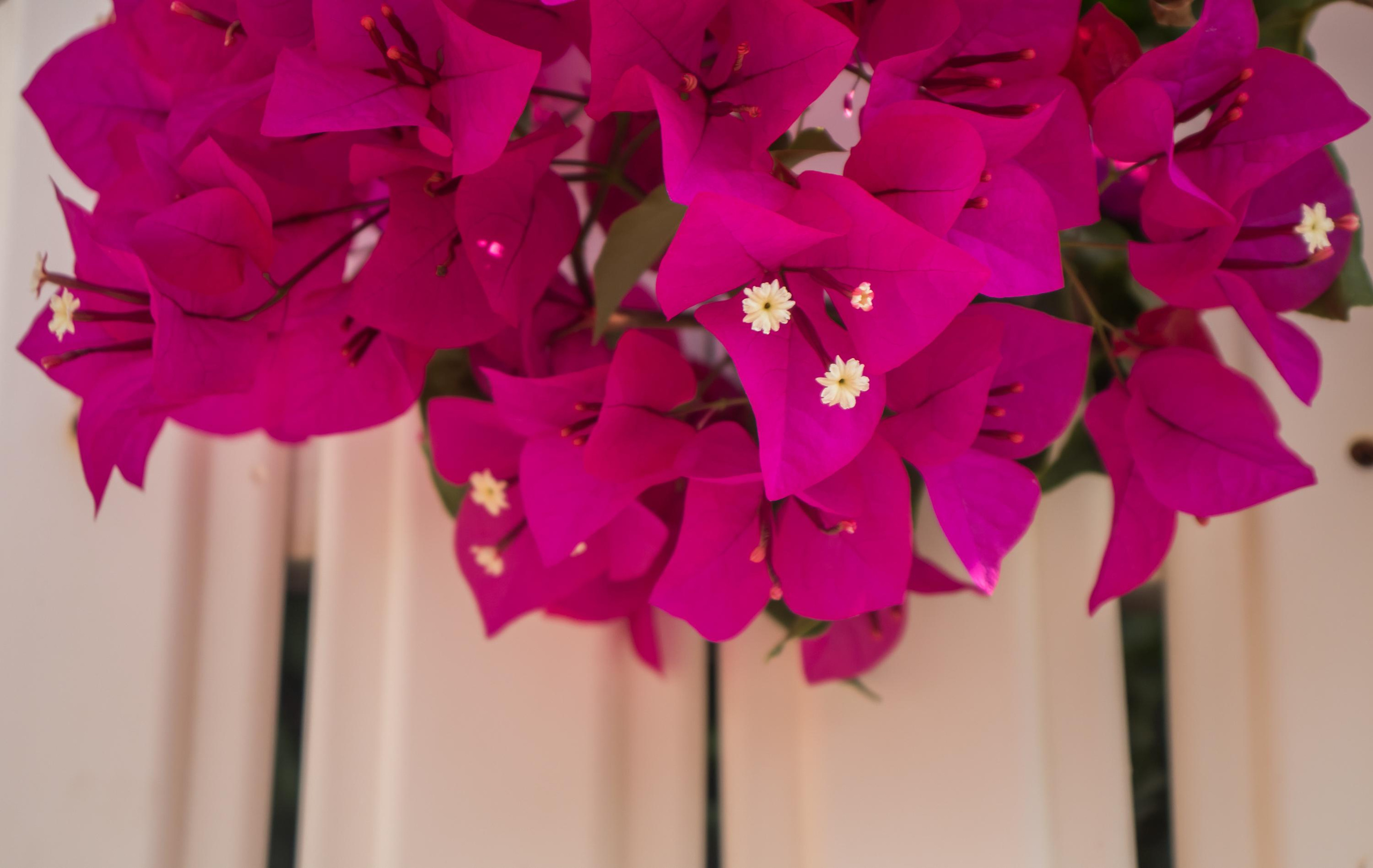 «Sacred Land». Портретный фотограф Ярославль I Натали Чуб