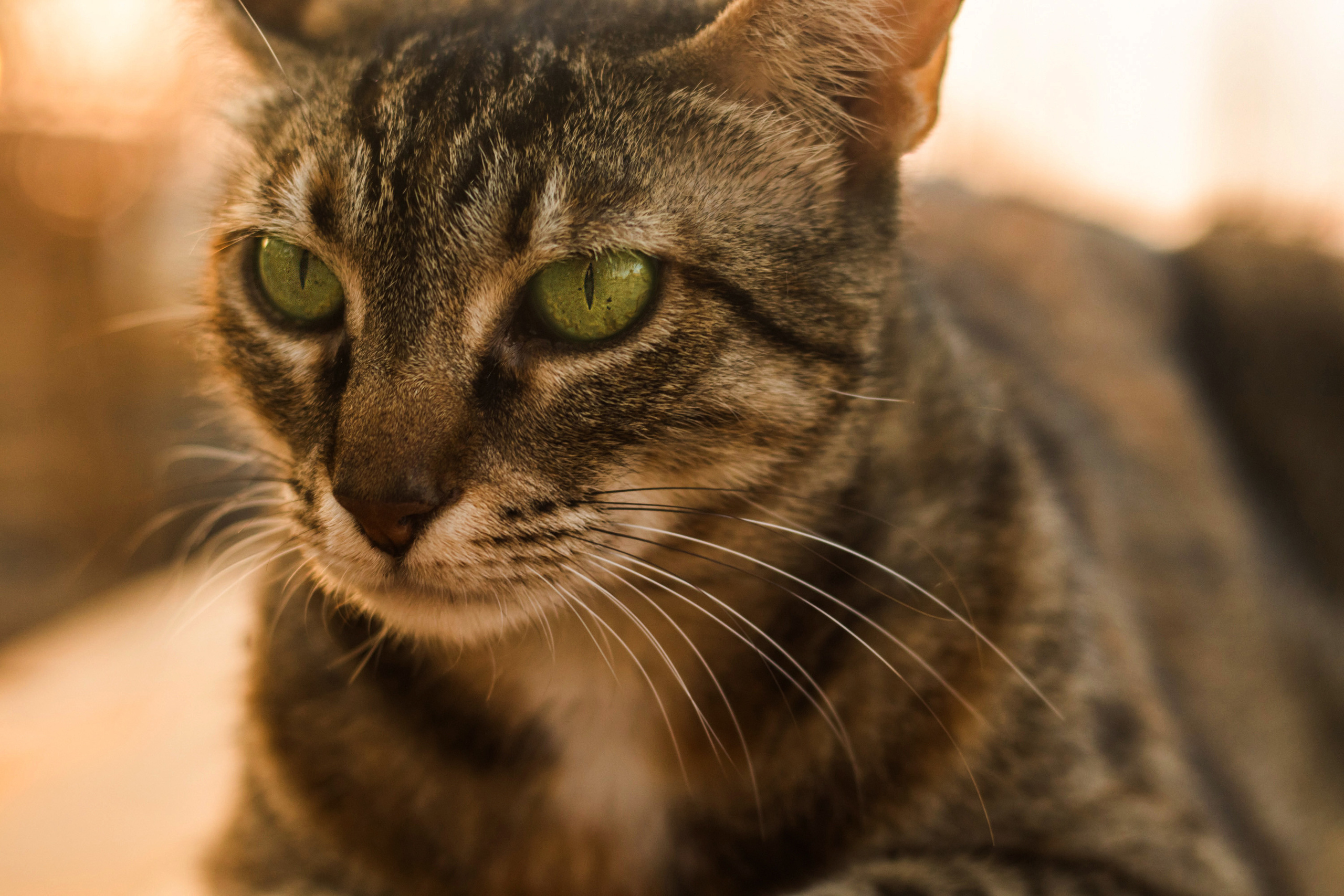 «Sacred Land». Портретный фотограф Ярославль I Натали Чуб