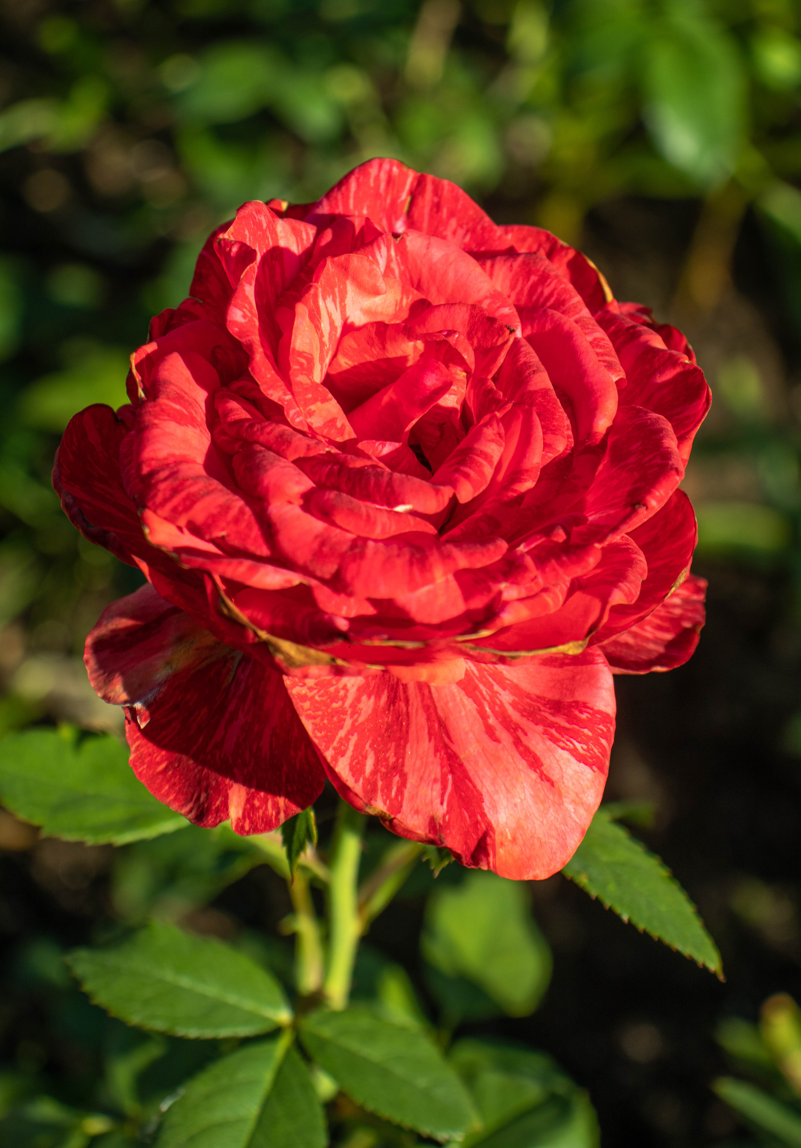 «Tolga Trip». Портретный фотограф Ярославль I Натали Чуб