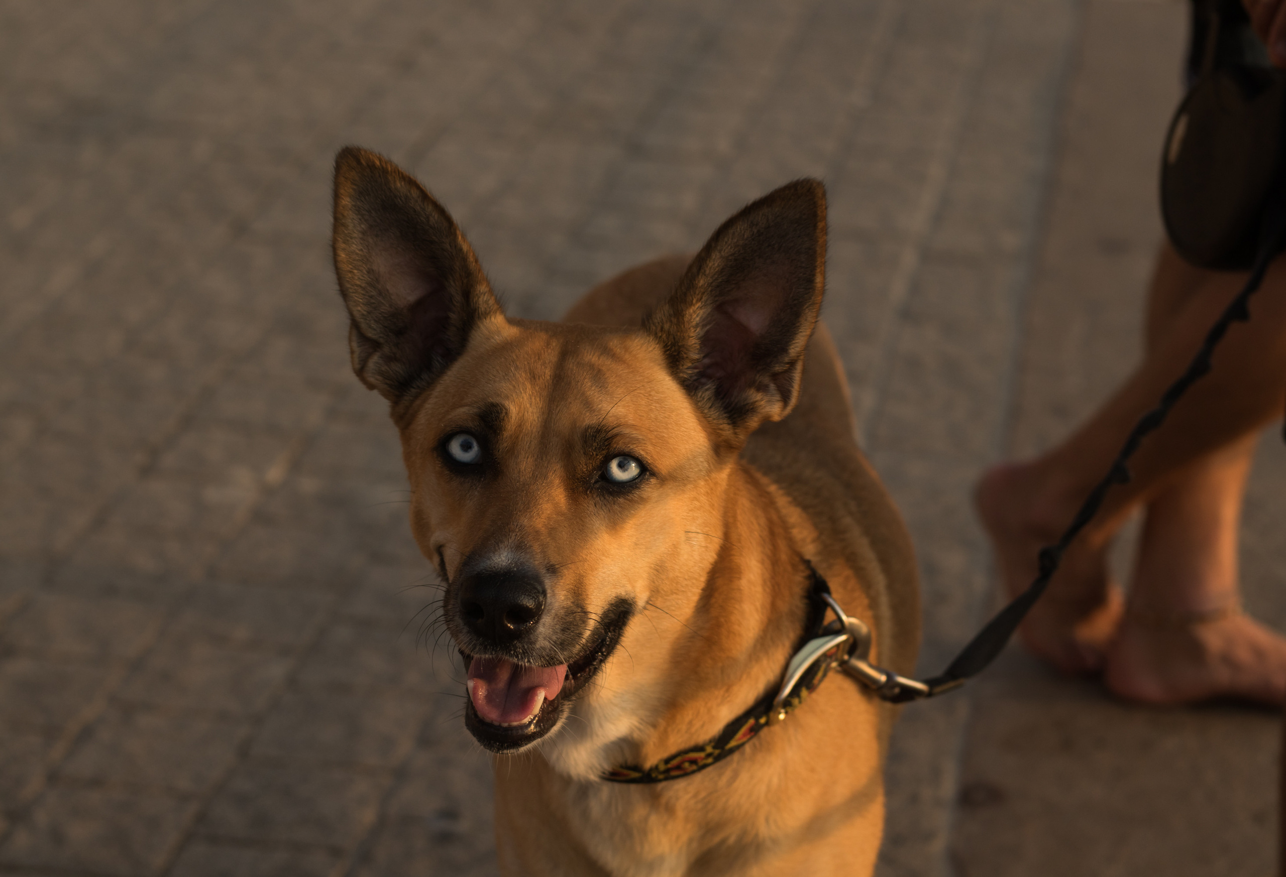 «Sacred Land». Портретный фотограф Ярославль I Натали Чуб