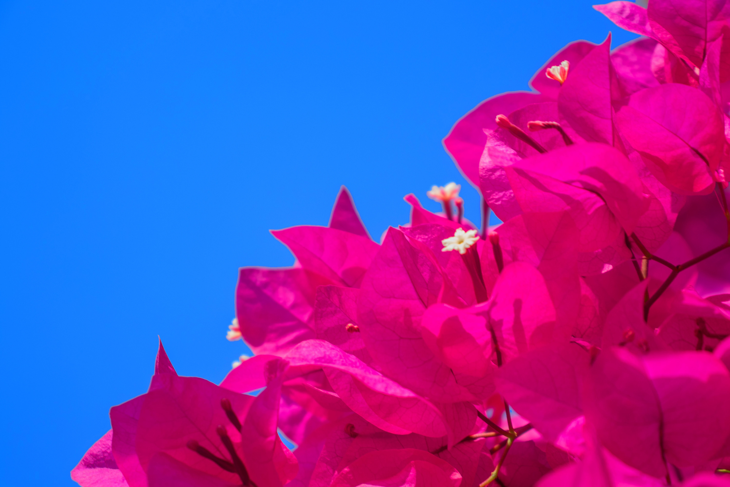 «Sacred Land». Портретный фотограф Ярославль I Натали Чуб