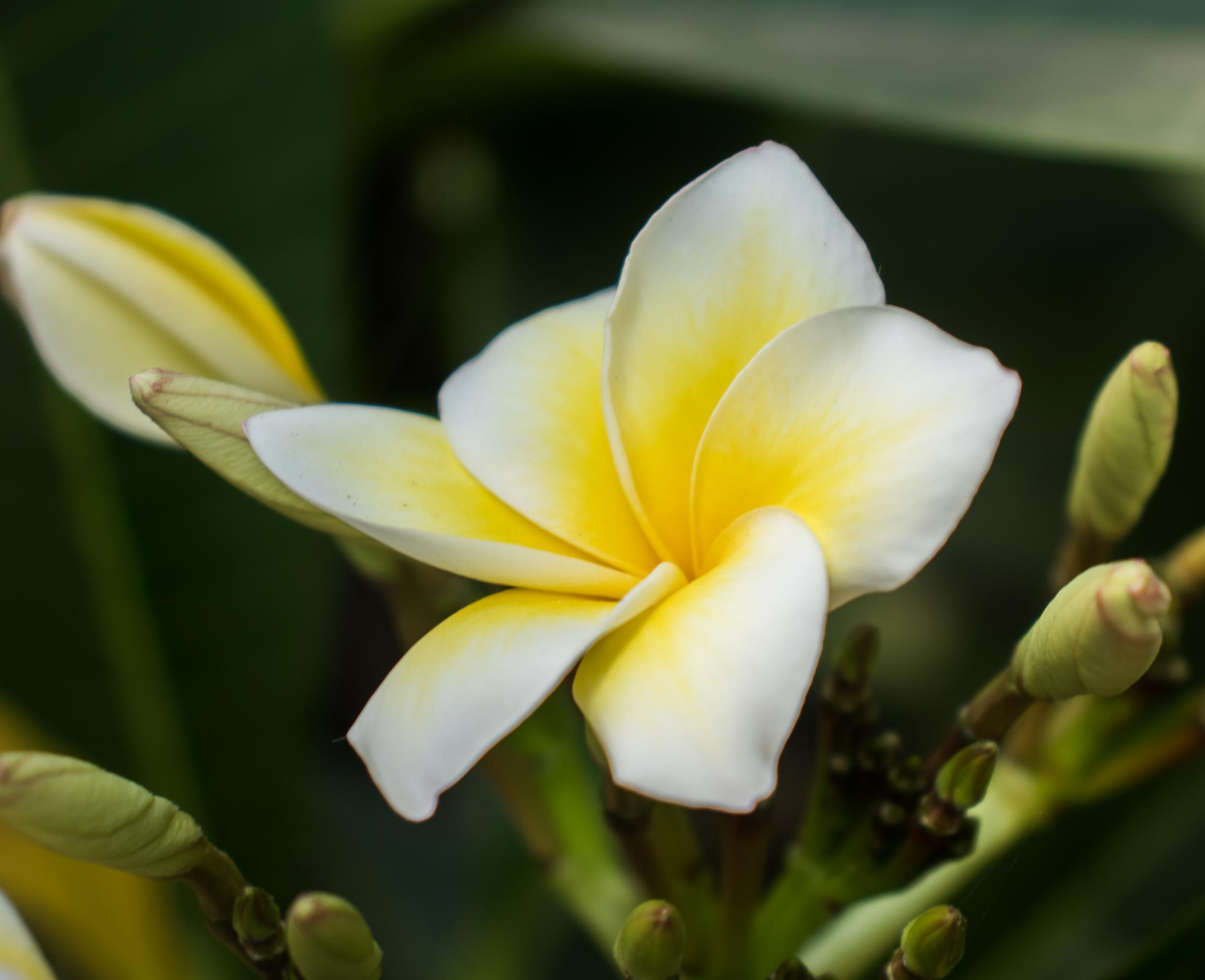 «Sacred Land». Портретный фотограф Ярославль I Натали Чуб