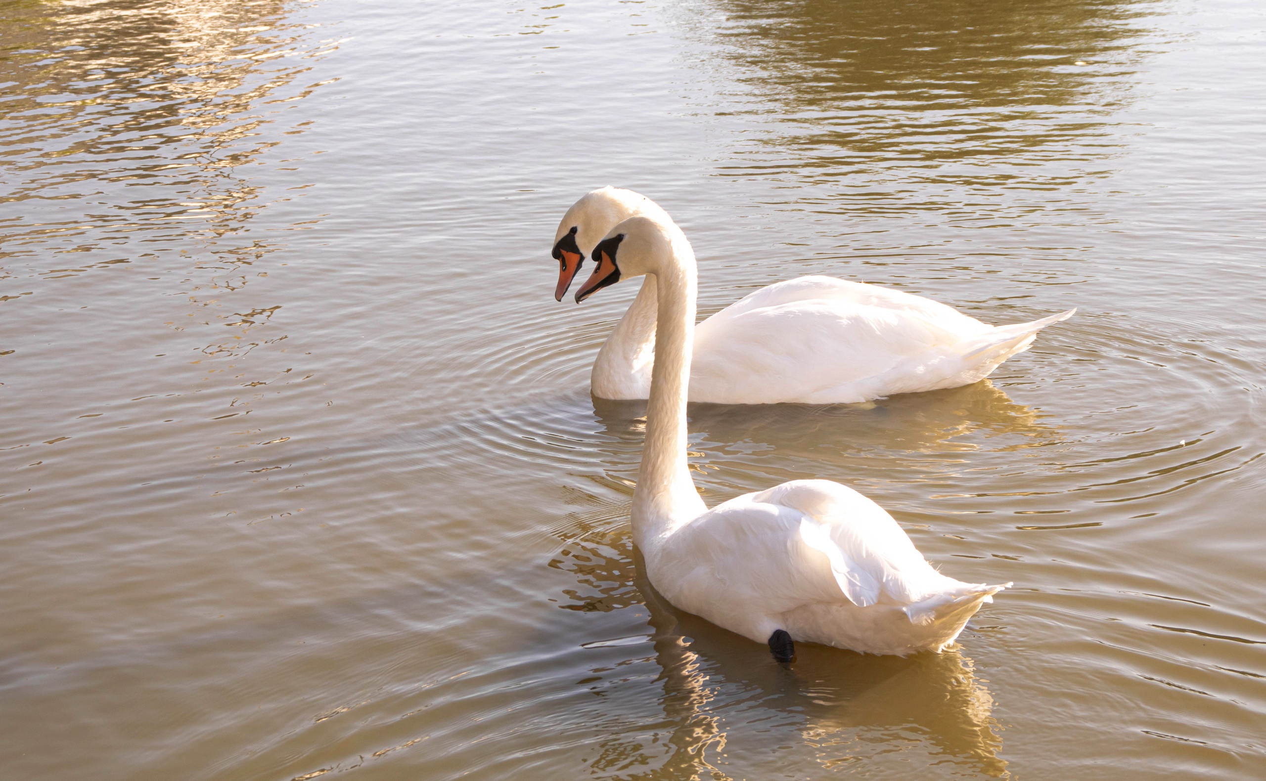 «Tolga Trip». Портретный фотограф Ярославль I Натали Чуб