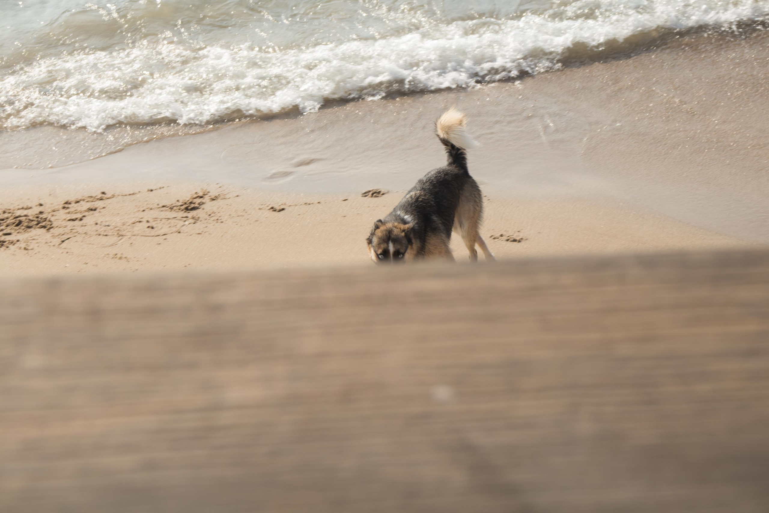«Sacred Land». Портретный фотограф Ярославль I Натали Чуб