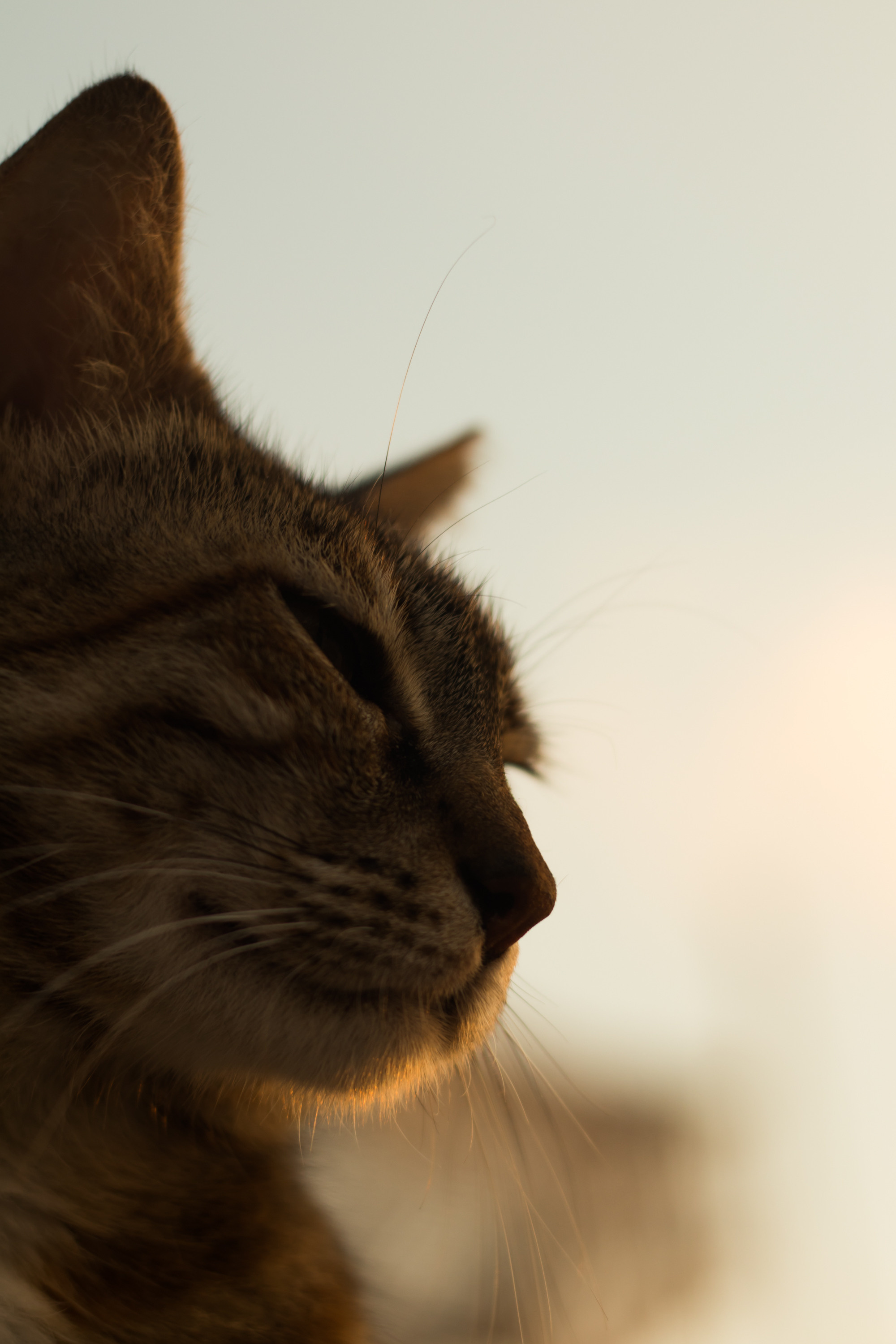 «Sacred Land». Портретный фотограф Ярославль I Натали Чуб