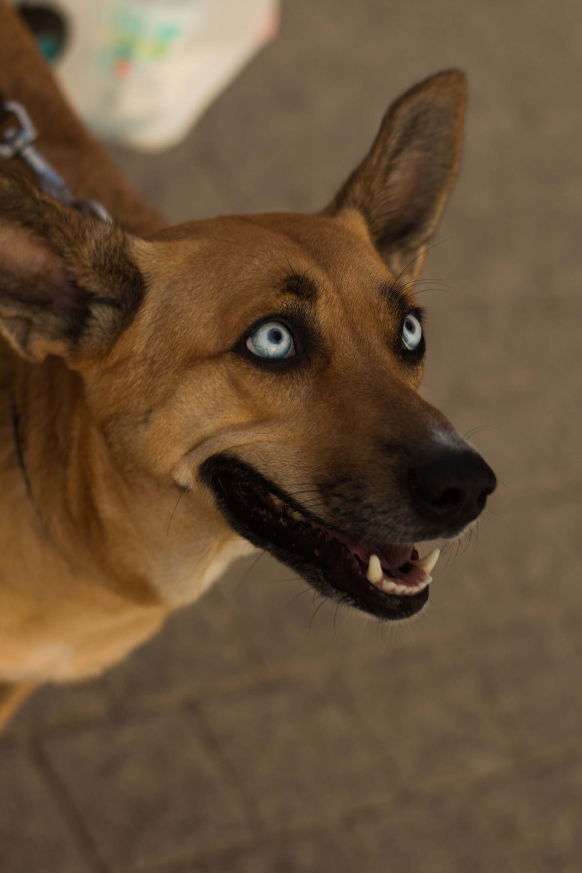 «Sacred Land». Портретный фотограф Ярославль I Натали Чуб