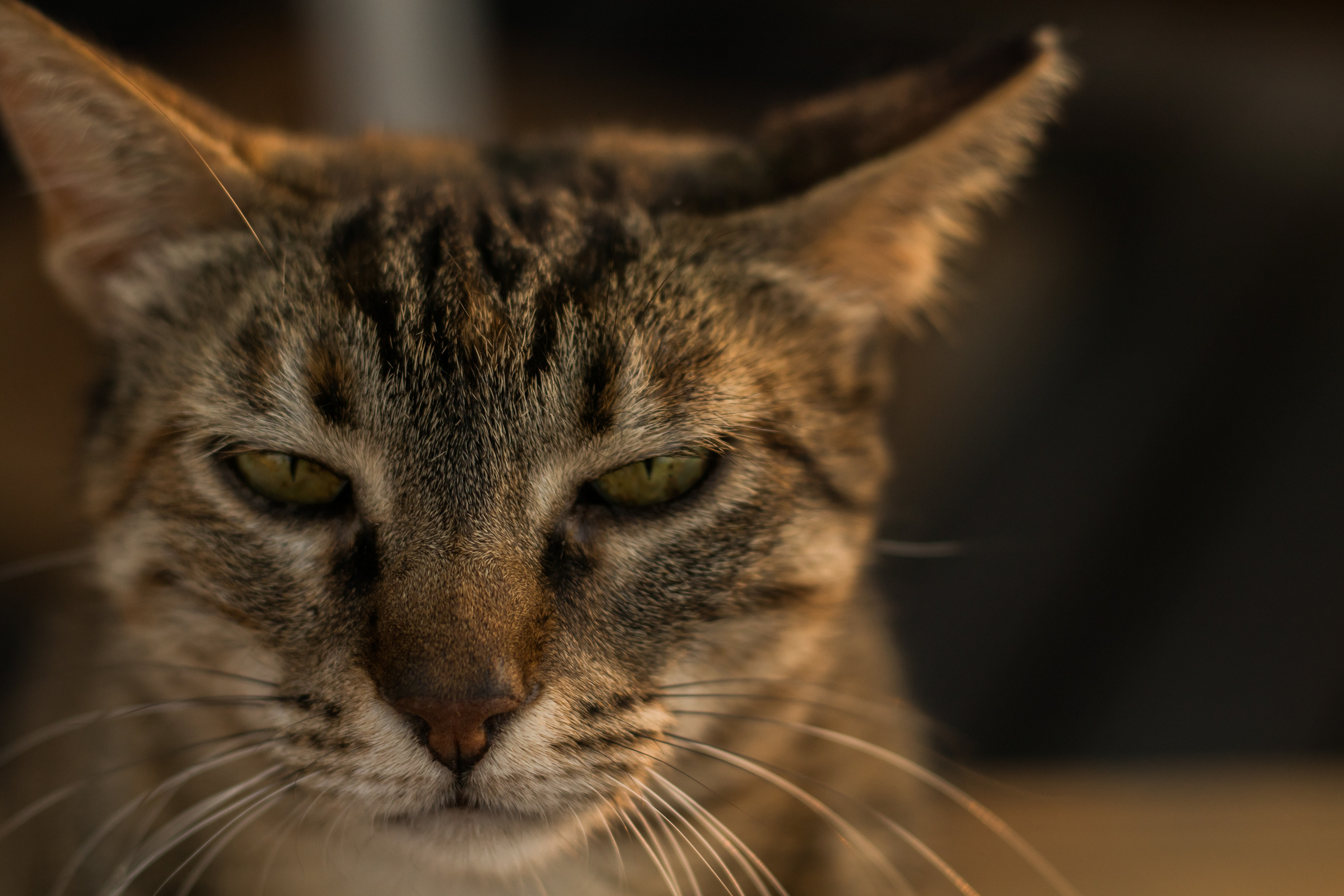 «Sacred Land». Портретный фотограф Ярославль I Натали Чуб